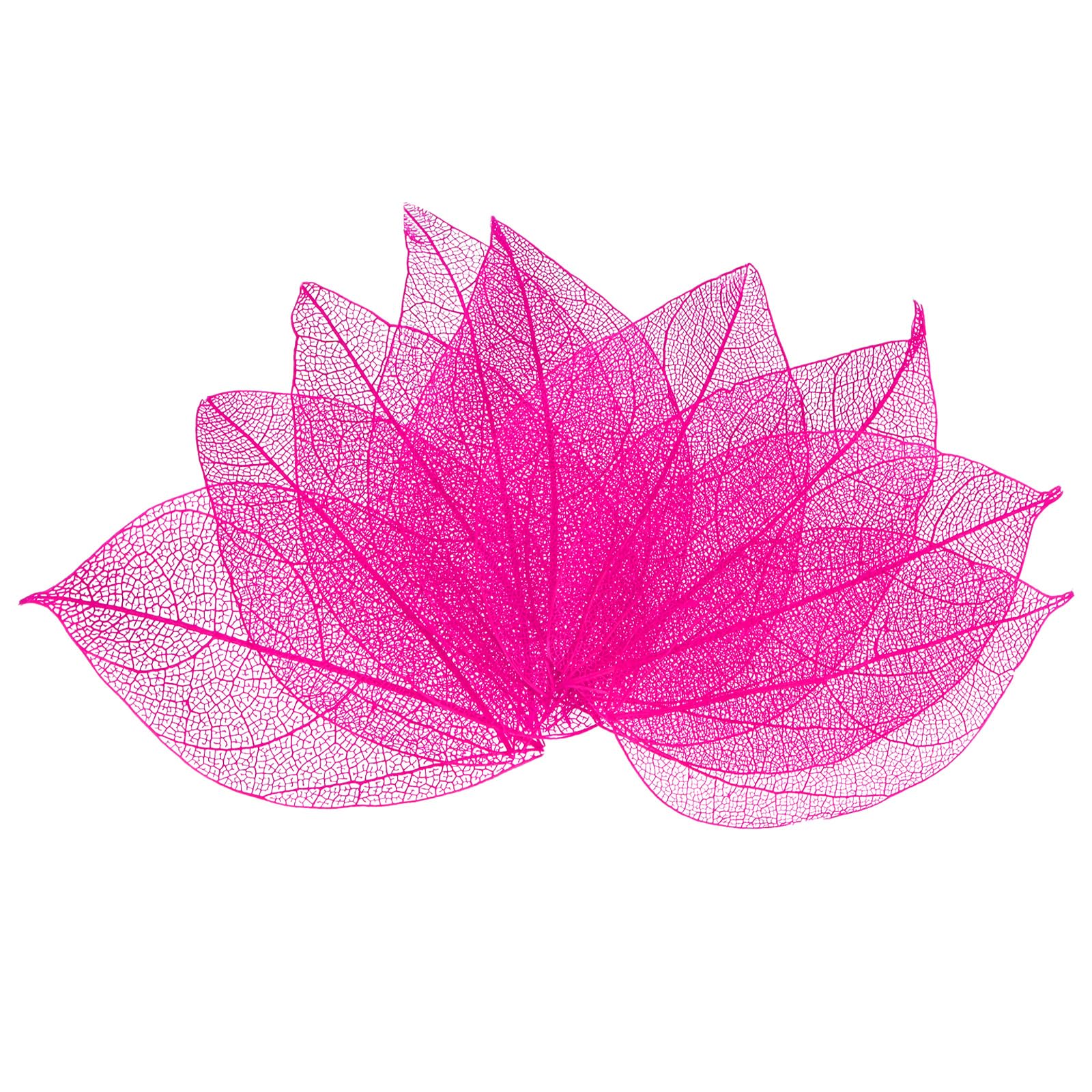 M METERXITY 200-Pack Skeleton Leaves