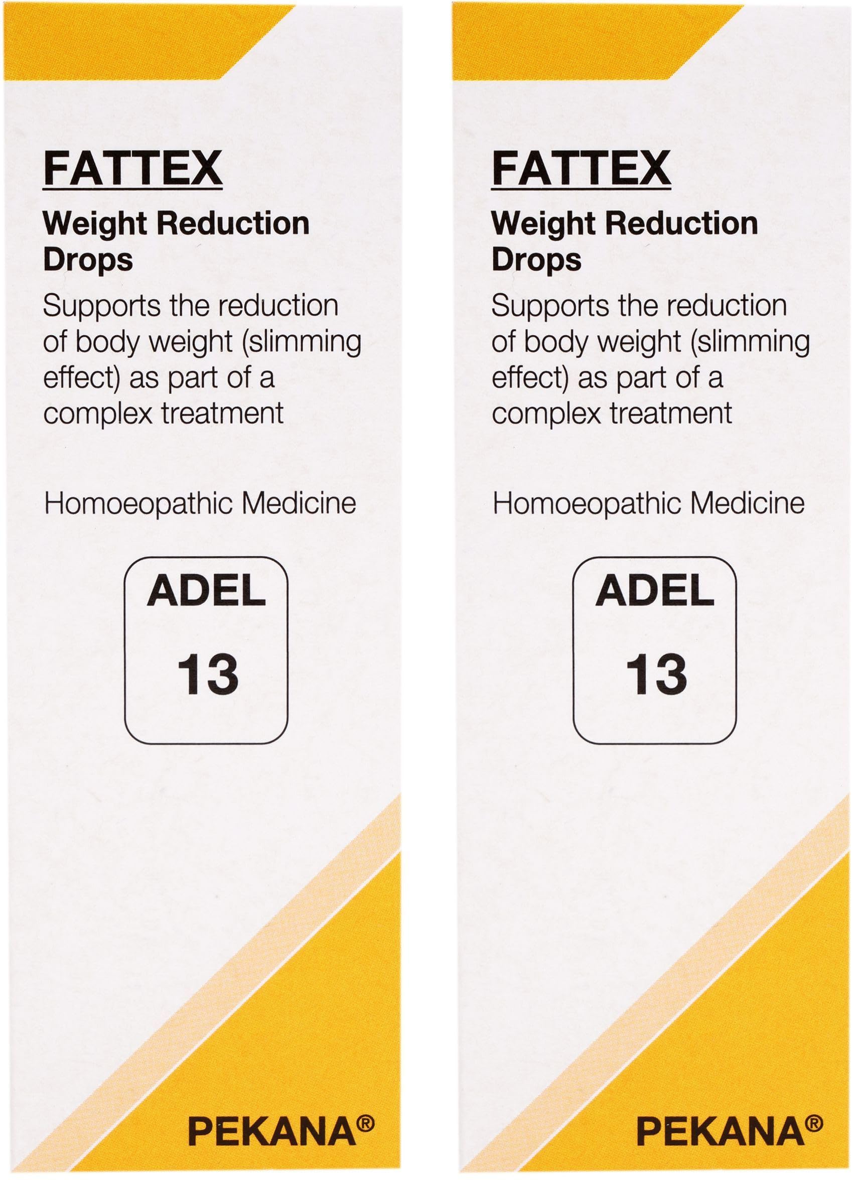 ADEL's No. 13 (FATTEX) Weight Management (Pack of 2)