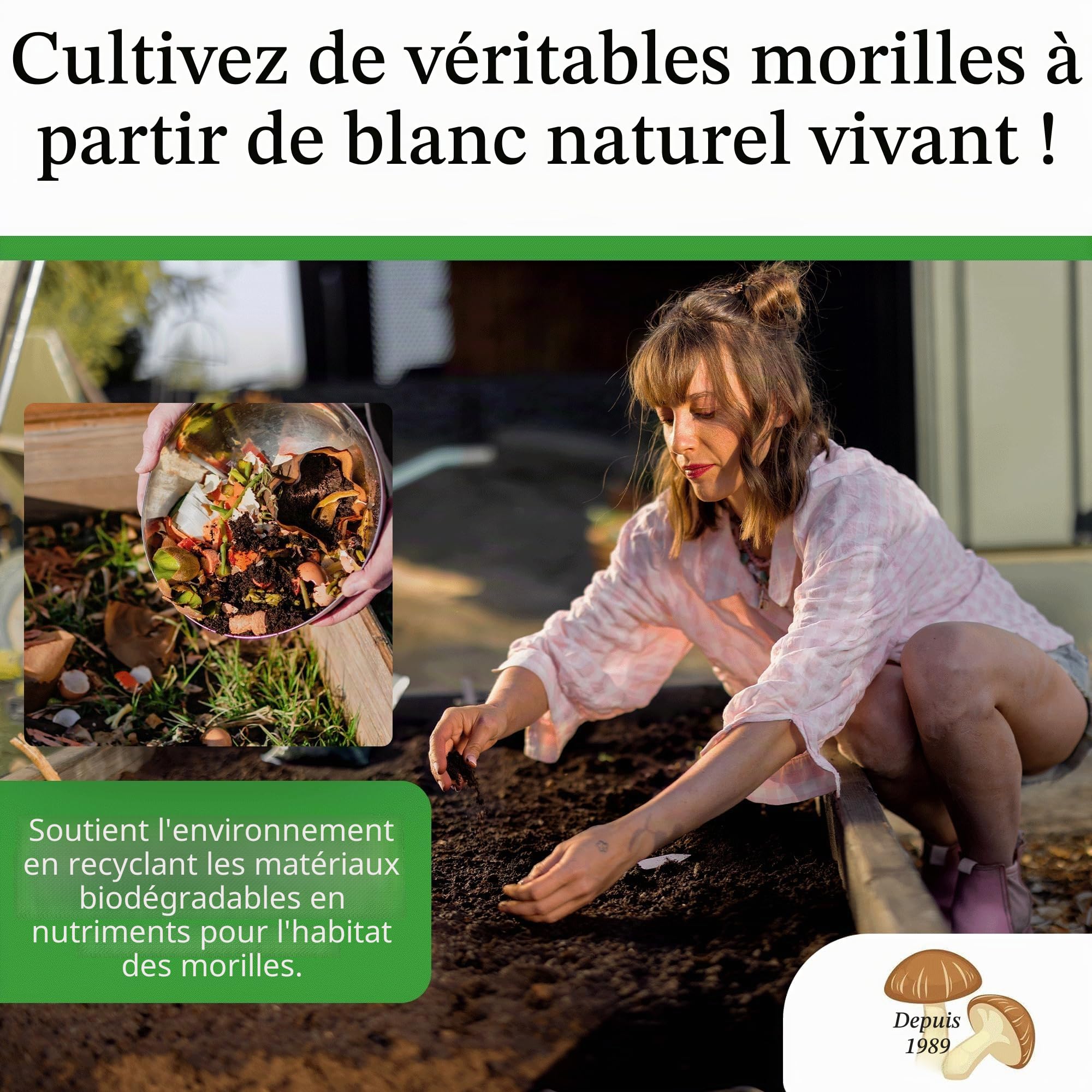 Kit de culture de champignons morilles d'arrière-cour