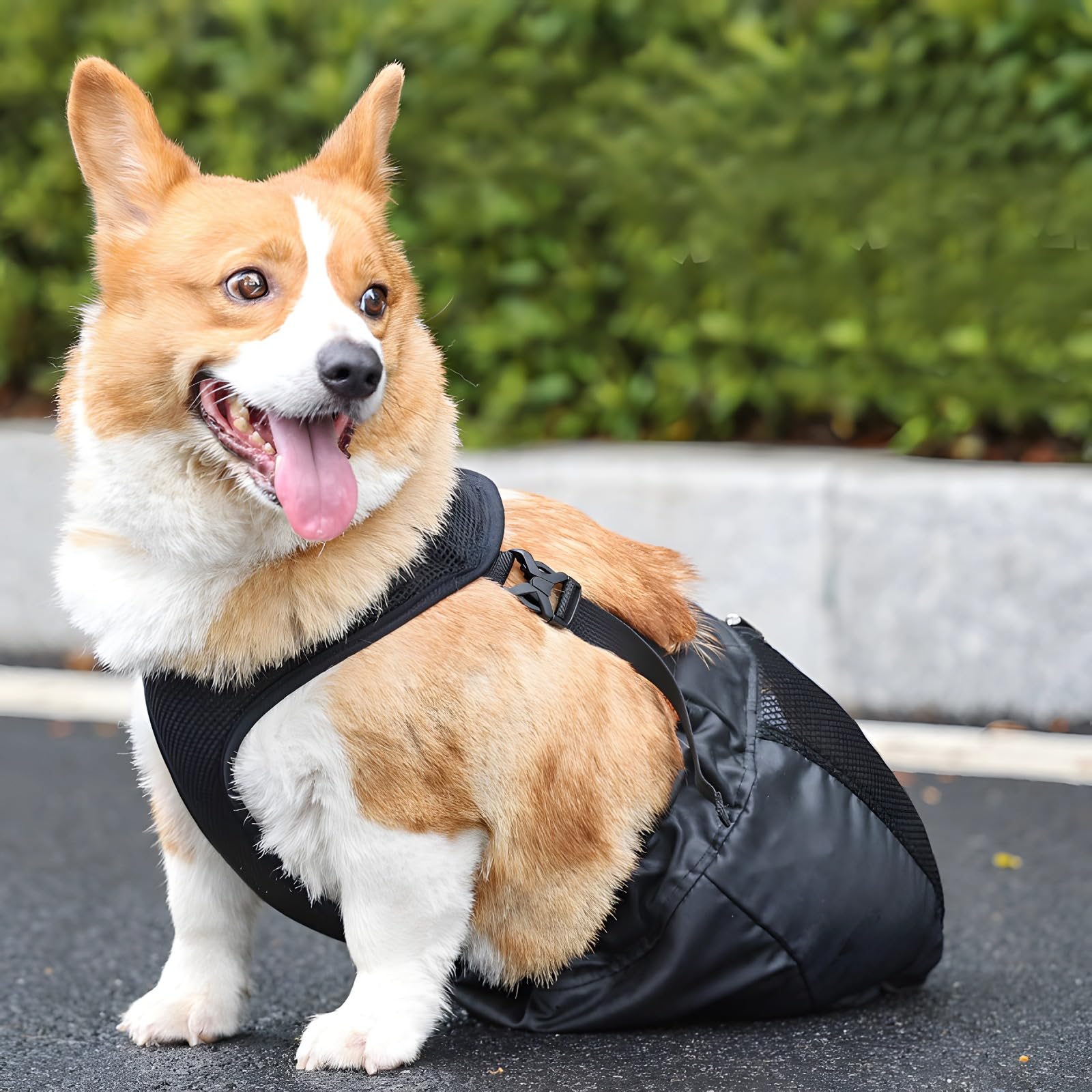 Correas ajustables para perros traseros, arnés de movilidad para mascotas para recuperación, ayuda de elevación de perros grandes, equipo veterinario para patas traseras