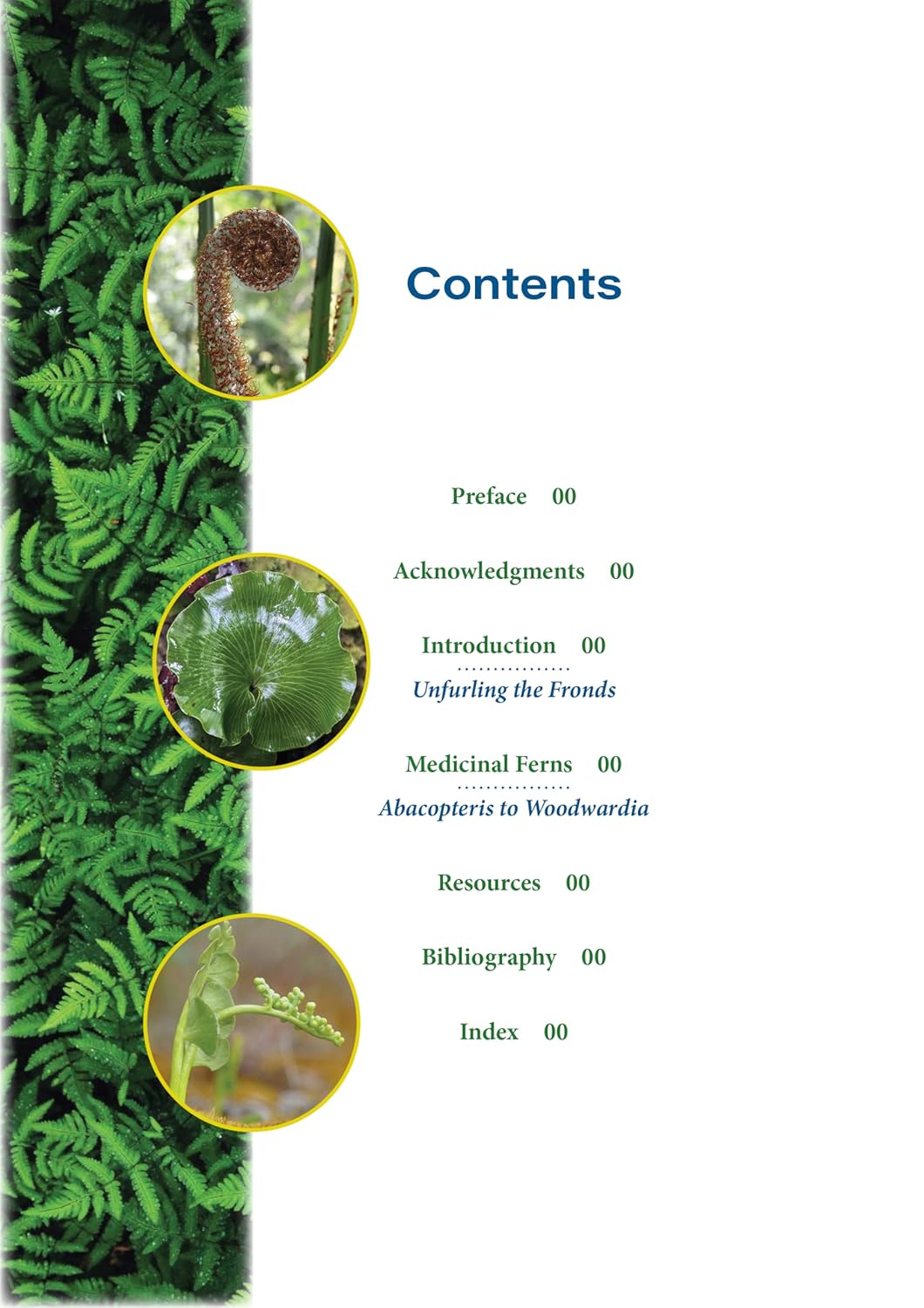 The Fern Pharmacy: Indigenous Wisdom and Modern Pharmacology      Paperback – September 23, 2025