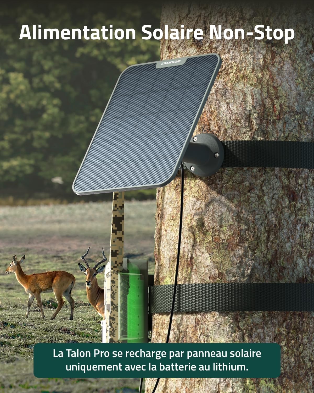 Panneau Solaire pour Caméra de Trail SP-10, Chargement Rapide 6W pour Alimentation Non-Stop, pour l'Extérieur, Installation Flexible, IP65, Compatible Seulement Talon & Talon Pro