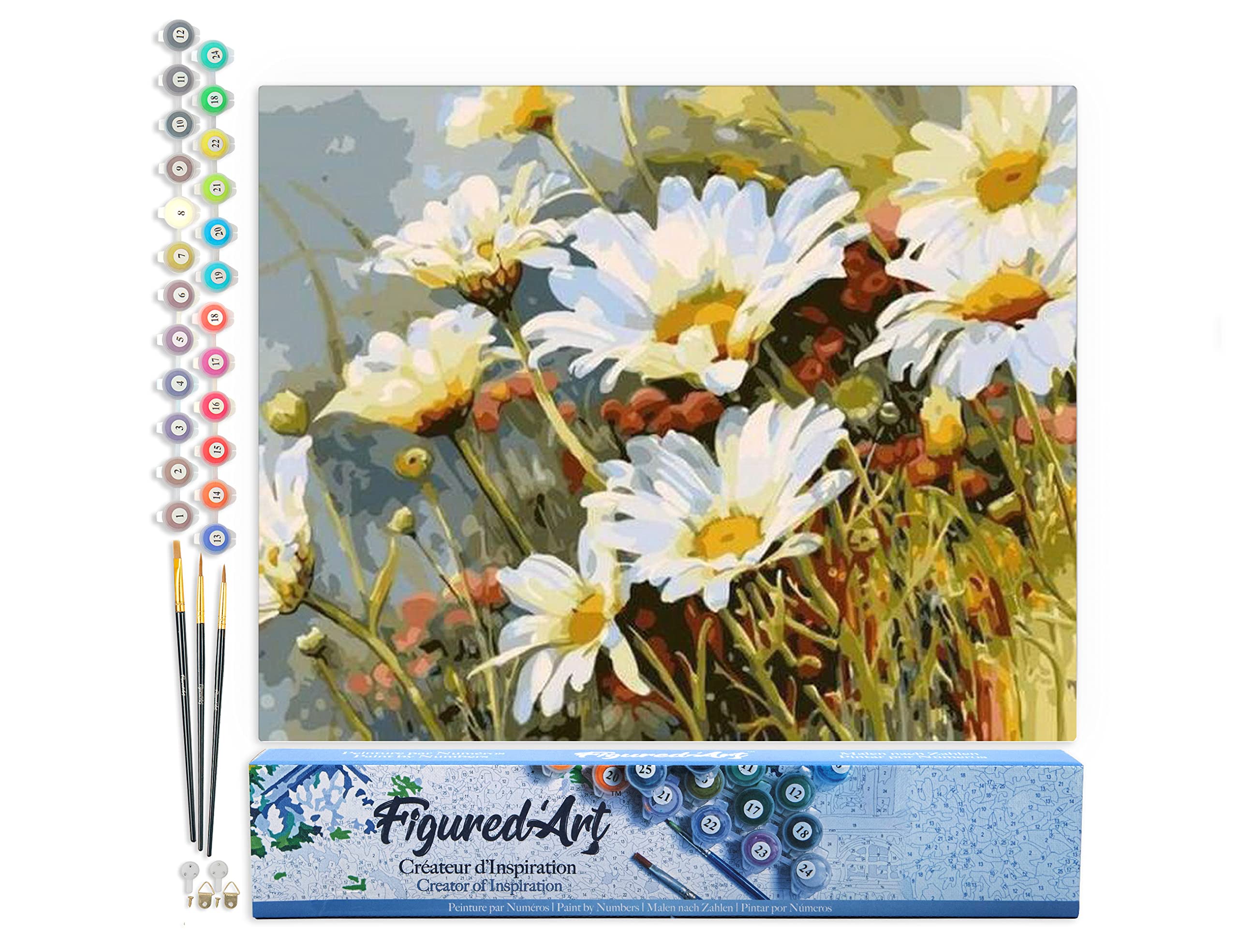 Figured'Art Paint by Numbers for Adults Field of Daisies in Spring 40x50cm - Craft Art Painting DIY Kit Rolled Canvas Without Frame — image 1