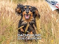 Vista 57 de Razas de Perros 2017