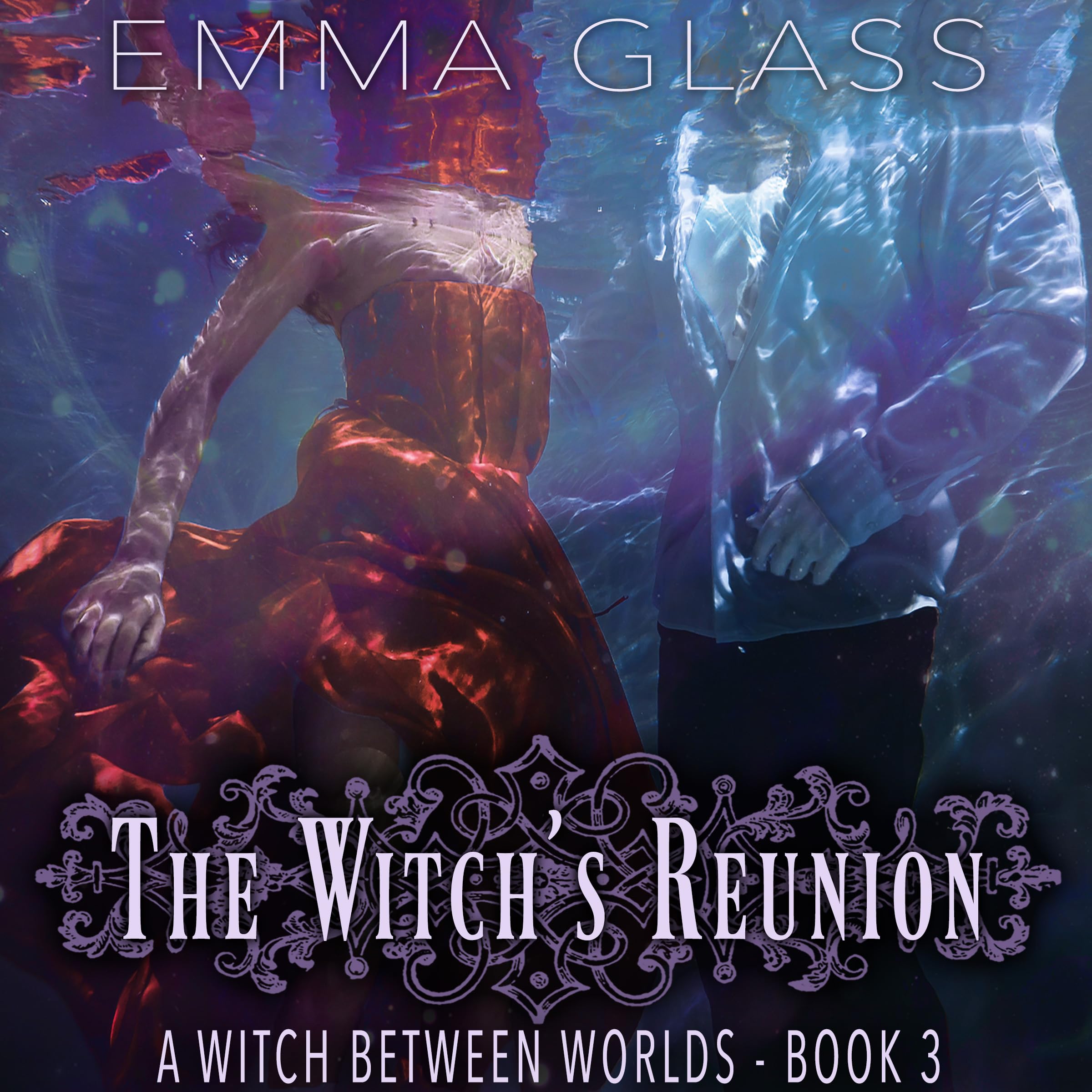 Cover art for The Witch's Reunion