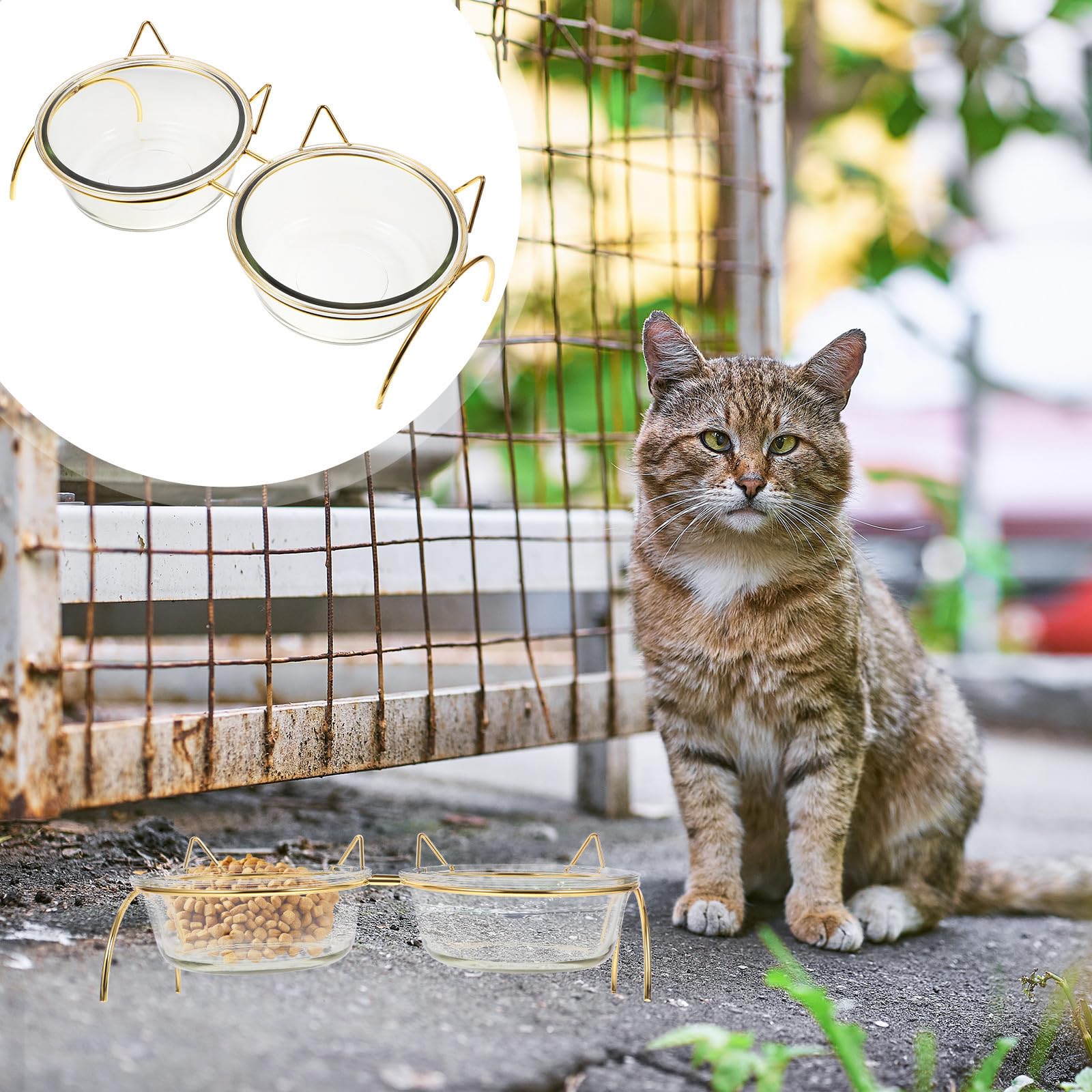Erhöhter Katzennapf aus Glas mit Schräger Öffnung und Nackenschutz