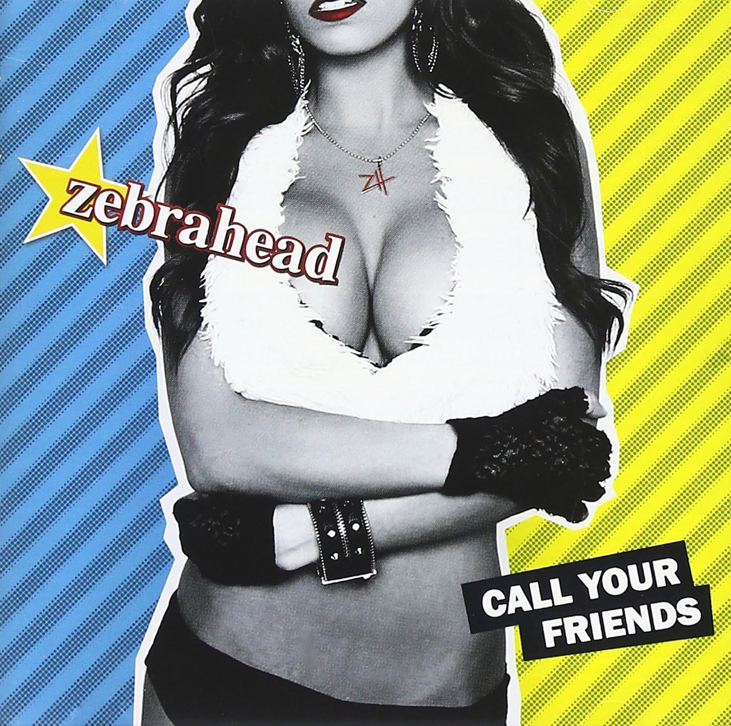 ZEBRAHEAD - Call Your Friends - Disque CD