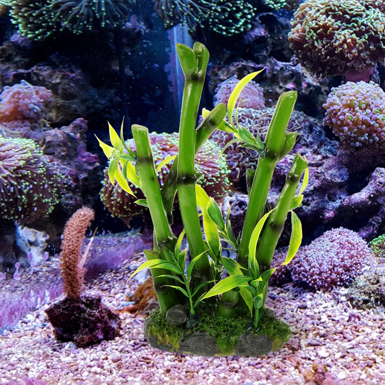 POPETPOP Décoration d'aquarium en bambou avec base pour l'aménagement paysager