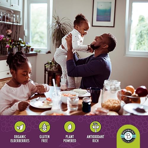 Miniatura 5 de Birds & Bees Teas - Kit de jarabe de saúco orgánico – Haz de 12 a 24 onzas | con bayas de saúco secas (Sambucus), canela, rosa mosqueta y jengibre –