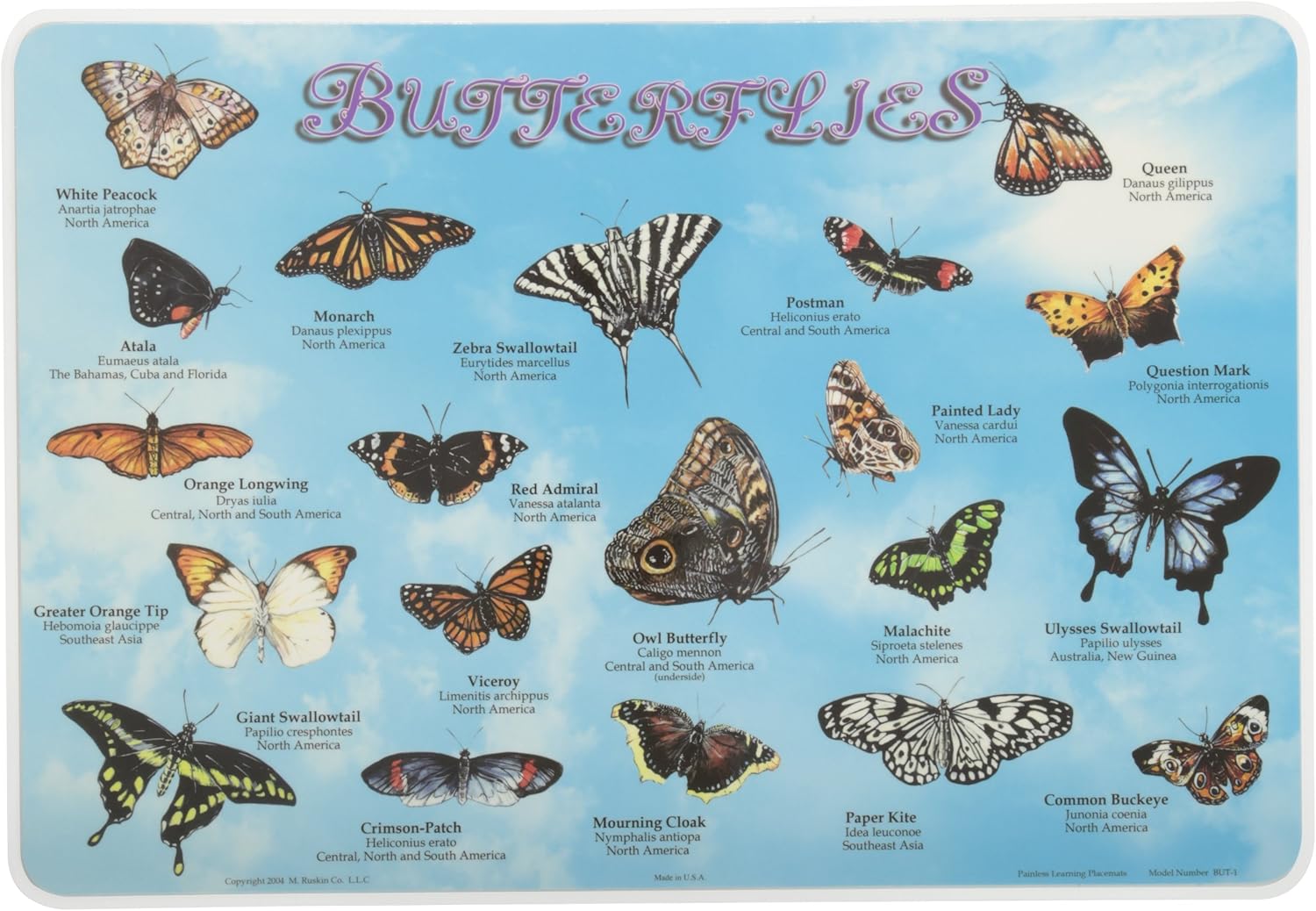 PAINLESS LEARNING PLACEMATSButterfliesPlacemat Amazon.ca Home
