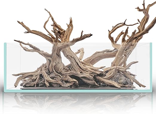 Ultum Nature Systems Ultra Clear Rimless Aquarium - Low Iron Glass Fish Tank with 45° Mitered Edges, 5mm-12mm Thick, Leveling Mat Included (5S, Shallow, 2 Gallon)
