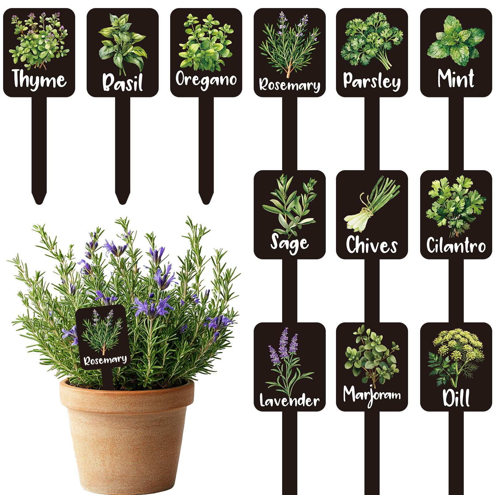 Whaline 12Pcs Herb Plant Label Signs 12 Styles Garden Herb Markers Thickened Waterproof Acrylic Plant Stake Tags with Names for Nursery Indoor Outdoor Garden Decor