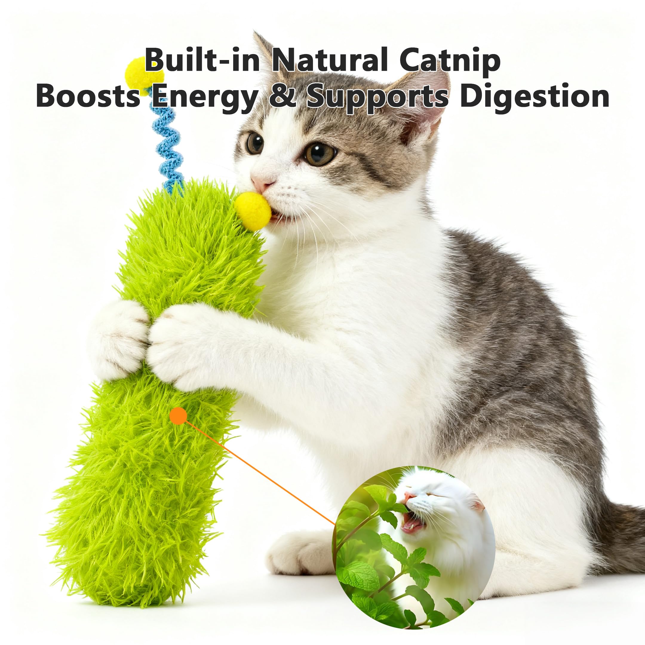 Speedy Panther Interactive Catnip Toys for Indoor Cats 3 Pack Plush Pillows, Self-Play Kitten Chew and Kick Toys (Caterpillar Design) - Image 3