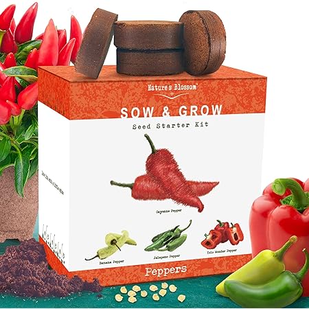 Amazon Com Nature S Blossom Indoor Peppers Seed Starter Kit Grow 4 Different Peppers From Seeds Cayenne Hot Jalapeno Sweet Red Bell Yellow Chilli Peppers Garden Outdoor