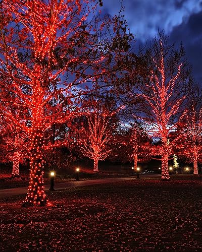 Miniatura 8 de Twinkle Star Paquete de 4 tiras de luces solares para exteriores, cada una de 39.4 pies, 120 luces LED de hadas decorativas para el día de San