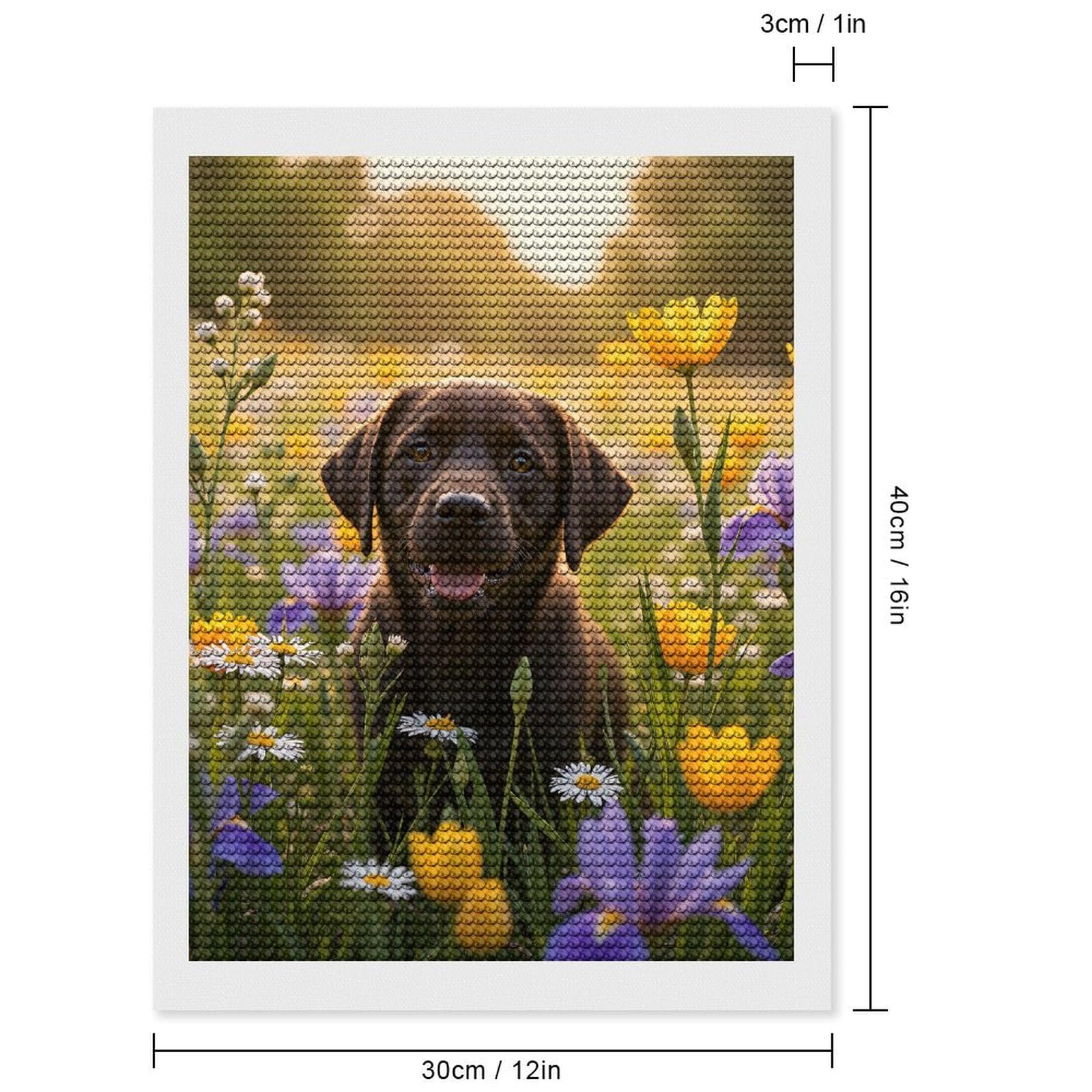 Kit Peinture Diamant 5D - Chien Setter Anglais - DIY Loisir Créatif - 40x50 Cm - Cadre Inclus