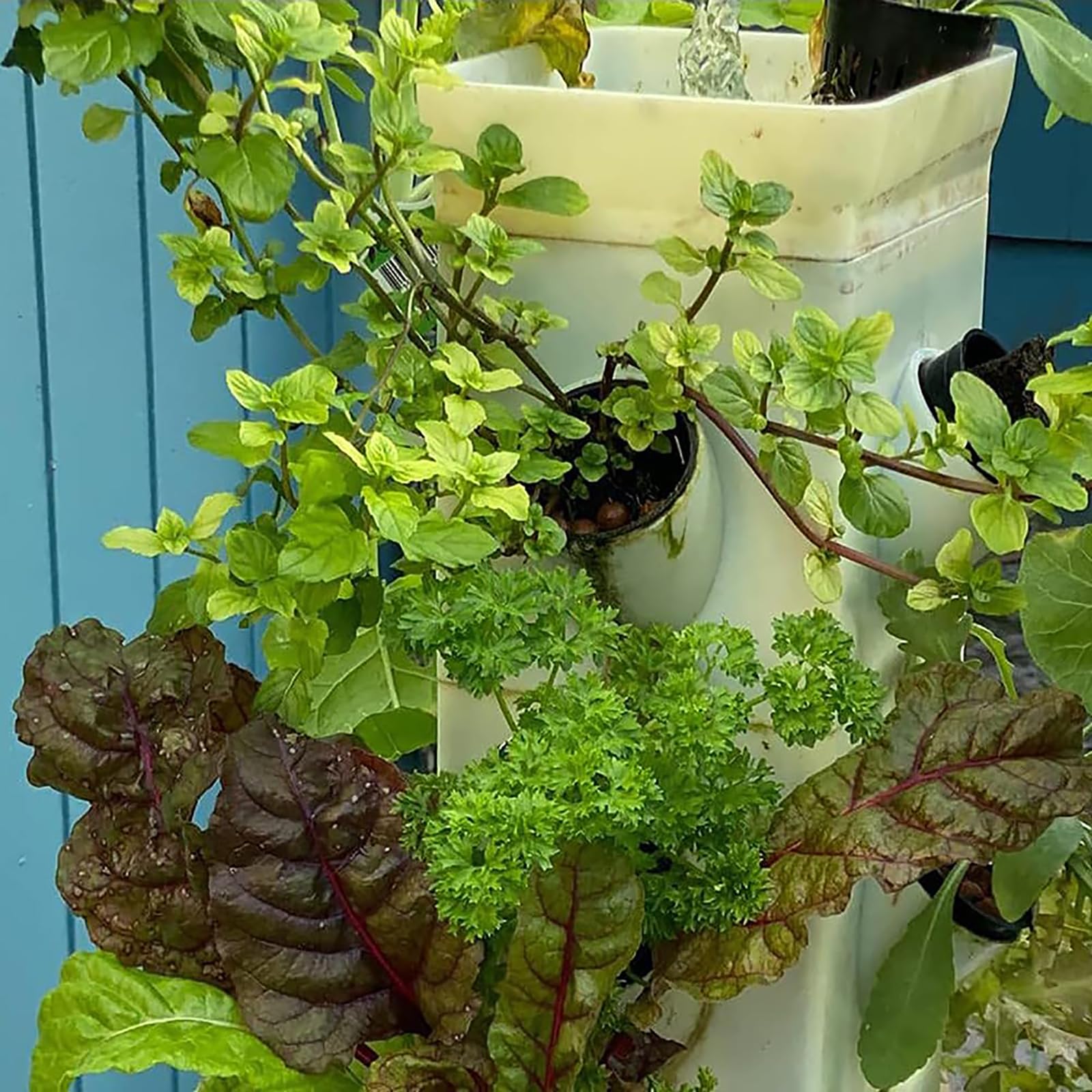 Sistema de Cultivo hidropónico de 24 cápsulas, Torre hidropónica Vertical, Jardinera Inteligente, Kit de germinación, Kit de Cultivo aeropónico con Bomba hidratante, Adaptador, macetas de re