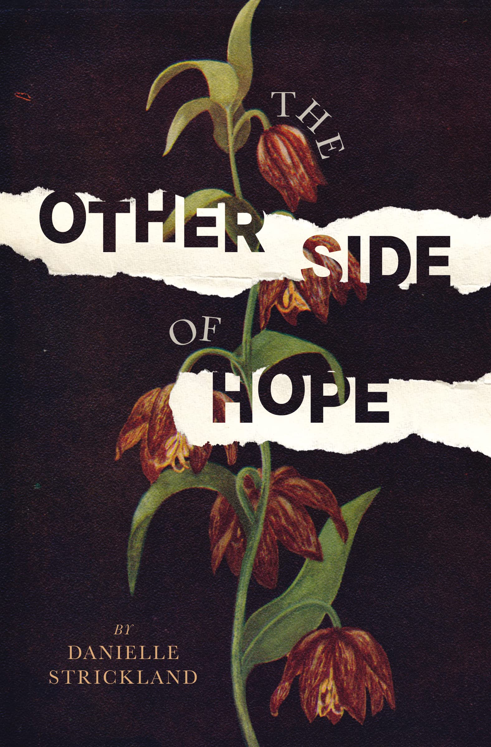 The Other Side of Hope : Flipping the Script on Cynicism and Despair and Rediscovering our Humanity