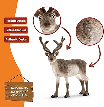 トナカイ M 81fIxhYl42L._AC_UF350,