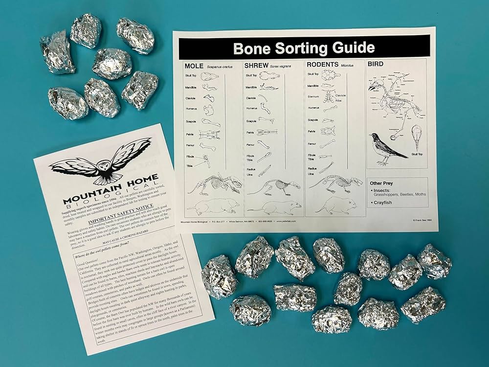 haruさま専用商品です　　バード　オウレット haruさま専用商品です バード オウレット haruさま専用商品です バード