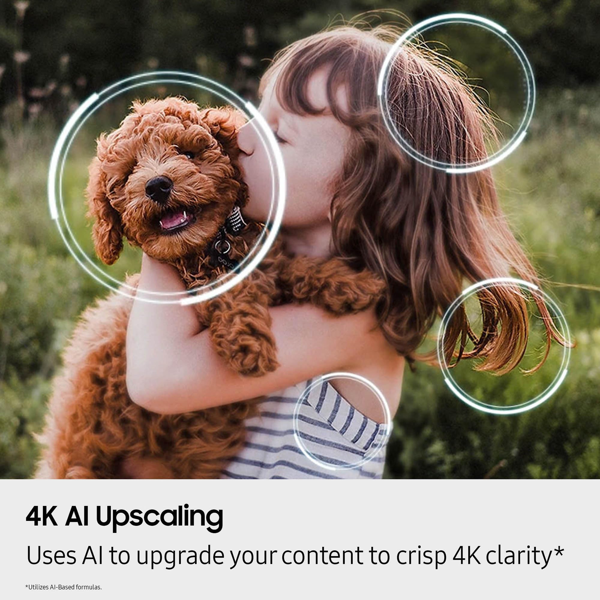 https://m.media-amazon.com/images/I/81fJ3ujC1wL.jpg