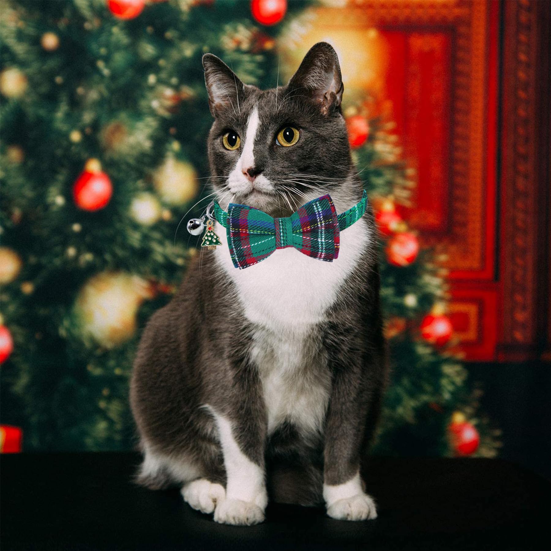 cat christmas bow tie