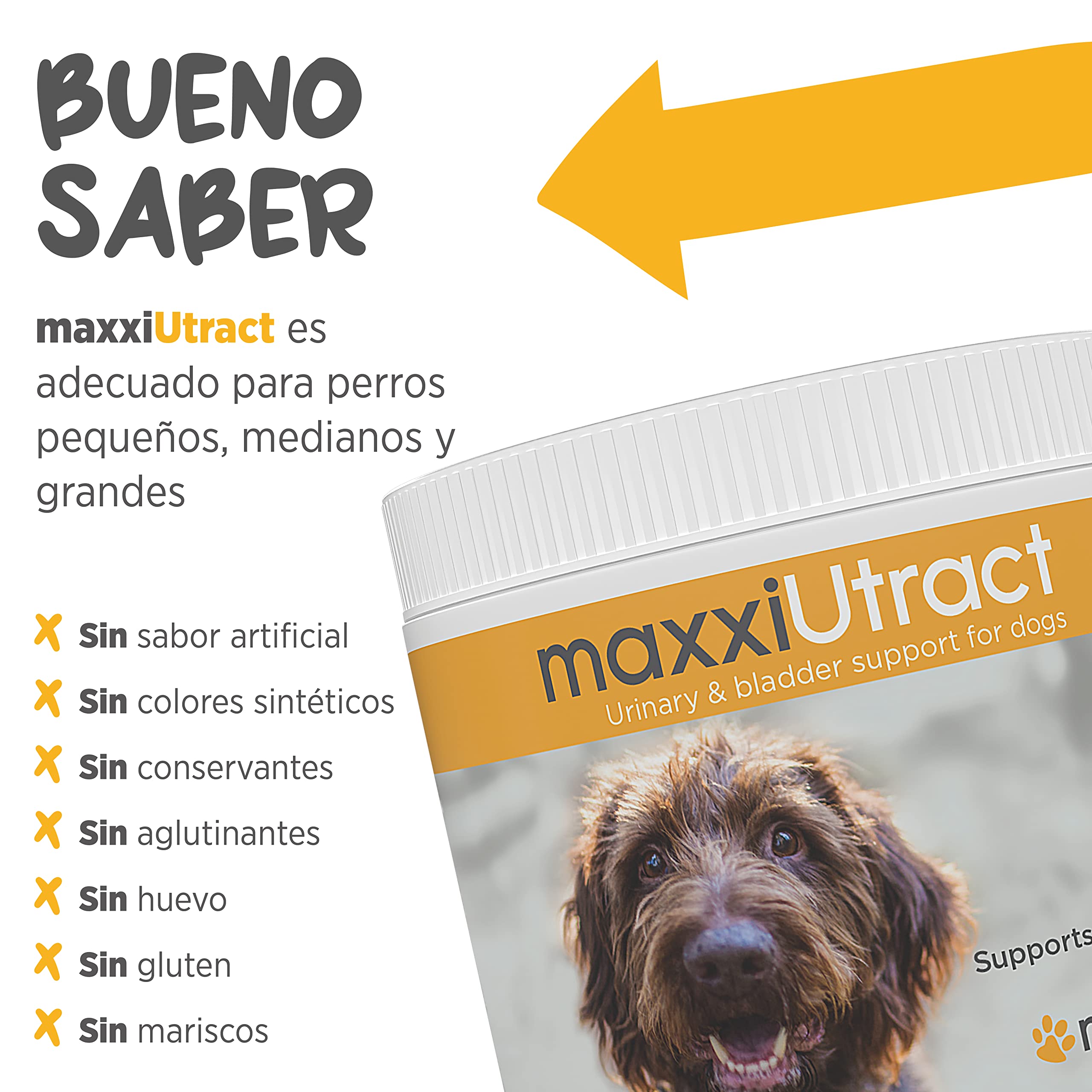 maxxipaws maxxiUtract Apoyo Urinario y de la Vejiga para Perros - Suplemento en Polvo, 150g