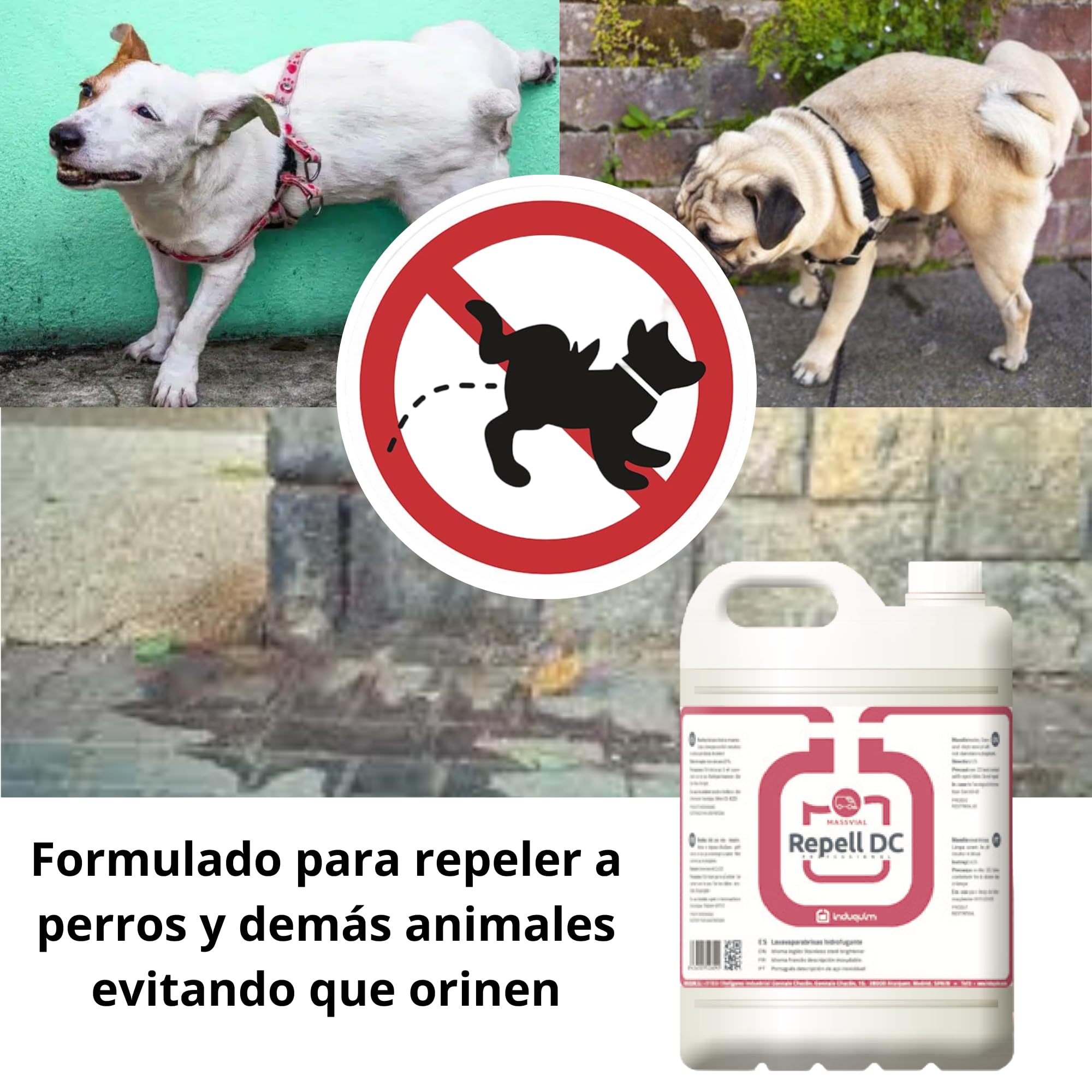 Repelente de Perros Repell DC garrafa de 5 litros. Repelente Orina Perros + Elimina Malos Olores - Repelente para Gatos Pipi - Repelente para Perros Pipi para Cualquier Superficie