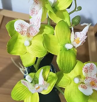 Amazon｜胡蝶蘭 人工観葉植物 光触媒加工 造花 卓上型 船型の