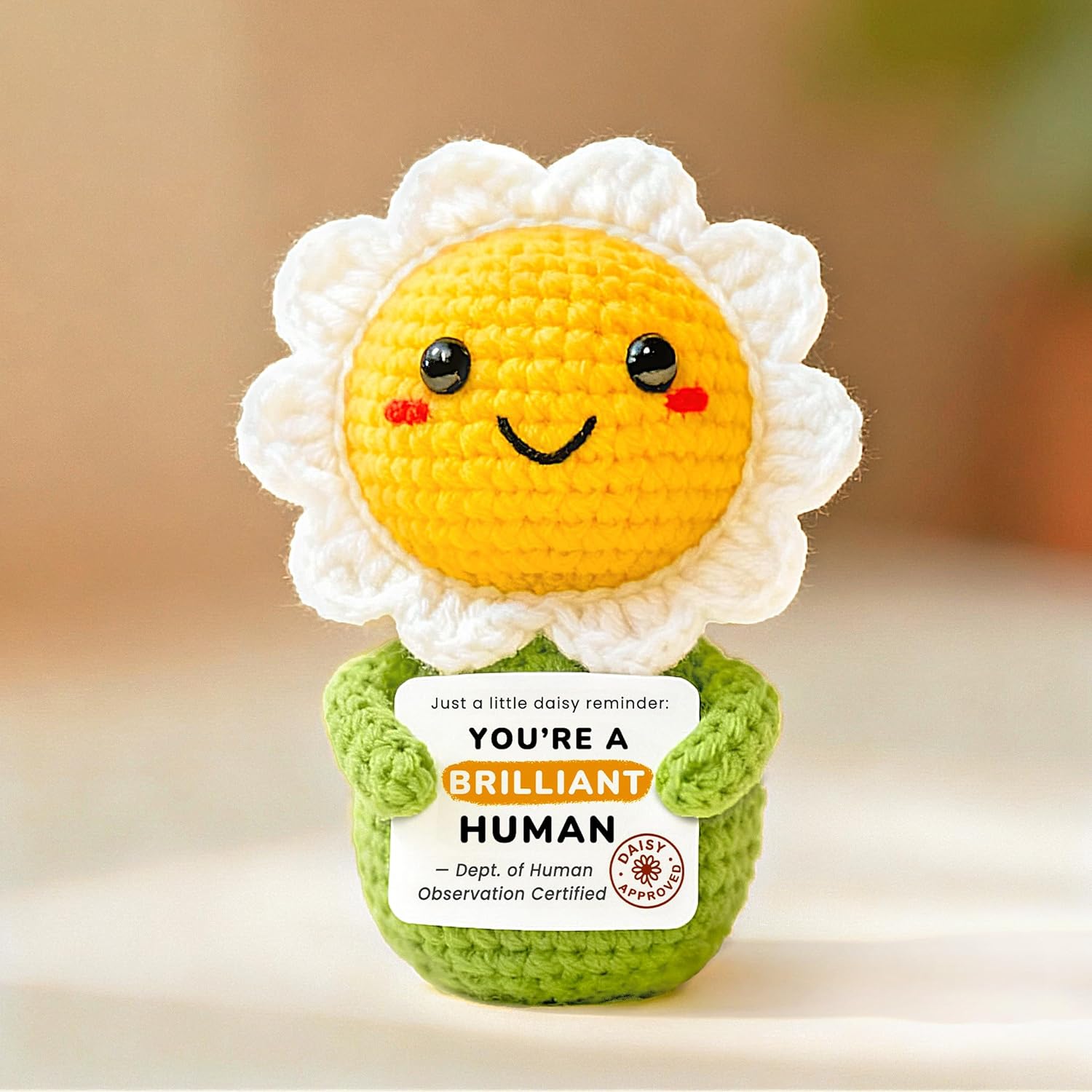 Positive Animals Crochet Daisy Gift for Women – Cute Flower Decor, Small Pick-Me-Up Thinking of You Encouragement Present for Friends or Coworkers