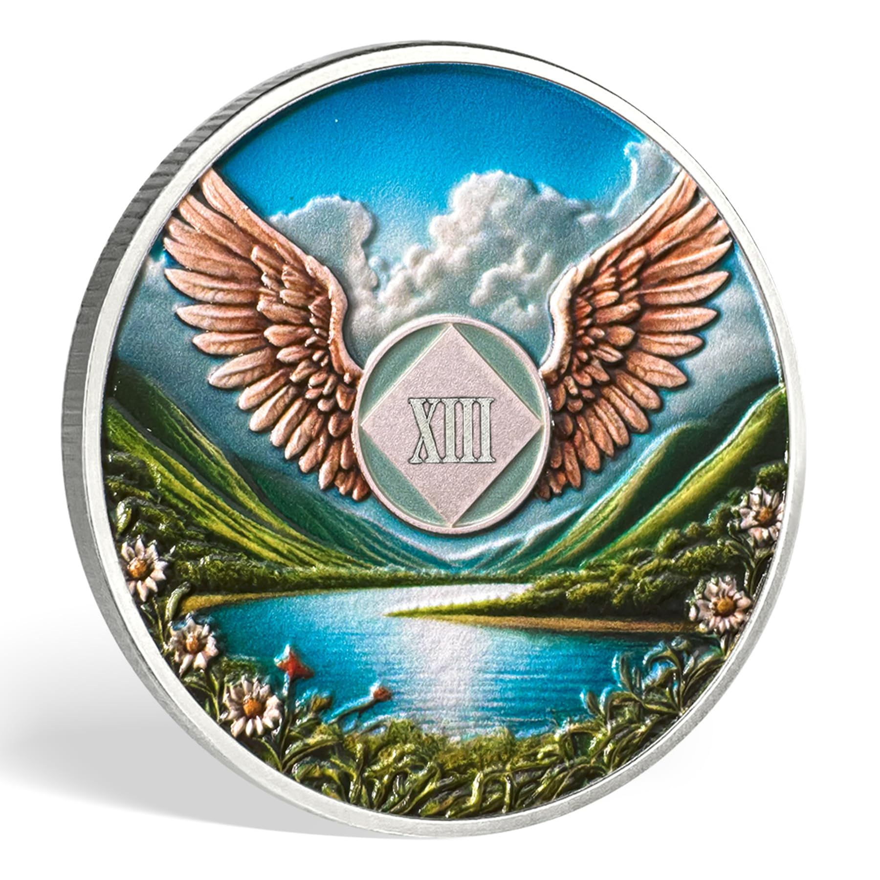 NA Sobriety Coin – Medallones NA con alas y chips de sobriedad escénicos monedas NA – Regalo ideal para hombres y mujeres que celebran la recuperación y la vida limpia (13 años)