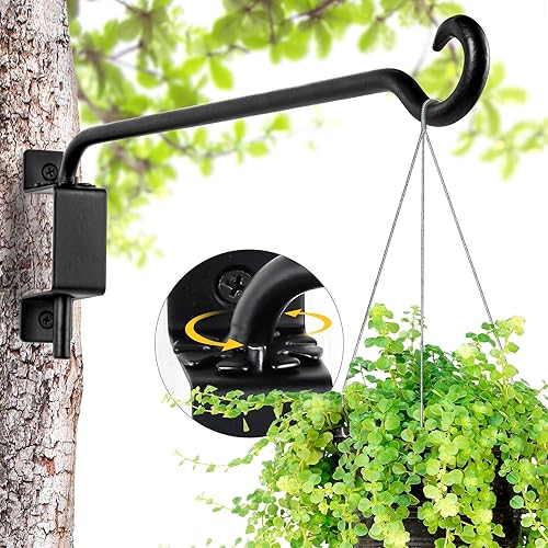Qiang Ni Plant Hanger Outdoor: 12 Inch Bird Feeder Bracket