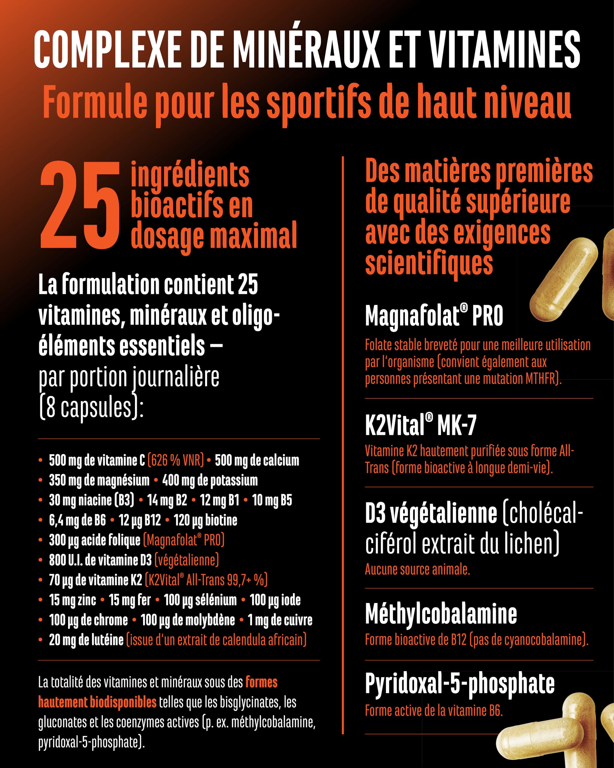 Complexe Minéraux & Vitamines ALL IN ONE - 25 Vitamines, Minéraux et Oligo-éléments Bioactifs - Avec Magnafolat® PRO, K2VITAL® MK-7 et Méthylcobalamine - Hautement Dosé - Vegan - 240 Gélules