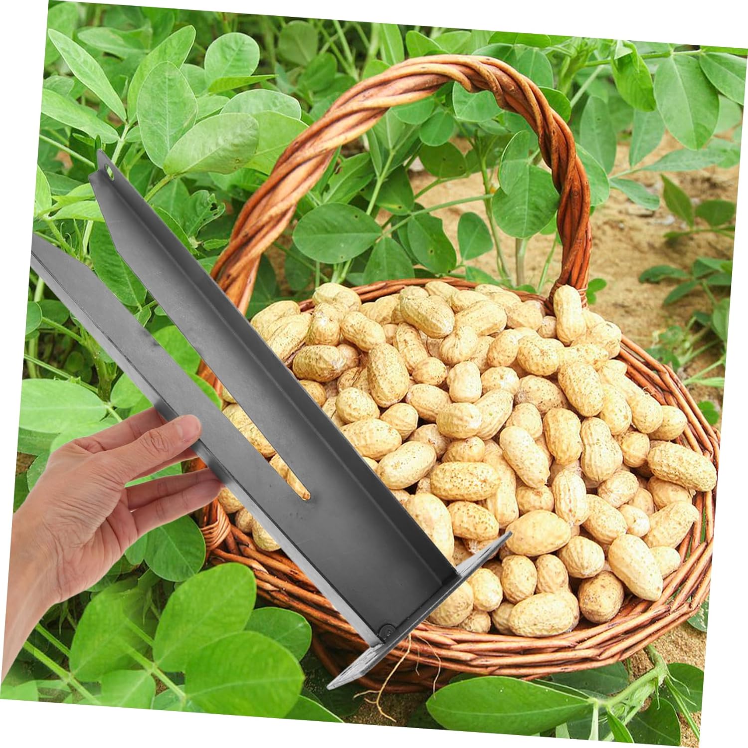 Farm Picker Tool Durable Peanut Device for Efficient Harvesting Metal Construction for Performance Essential Farm Supply for Peanut Farmers