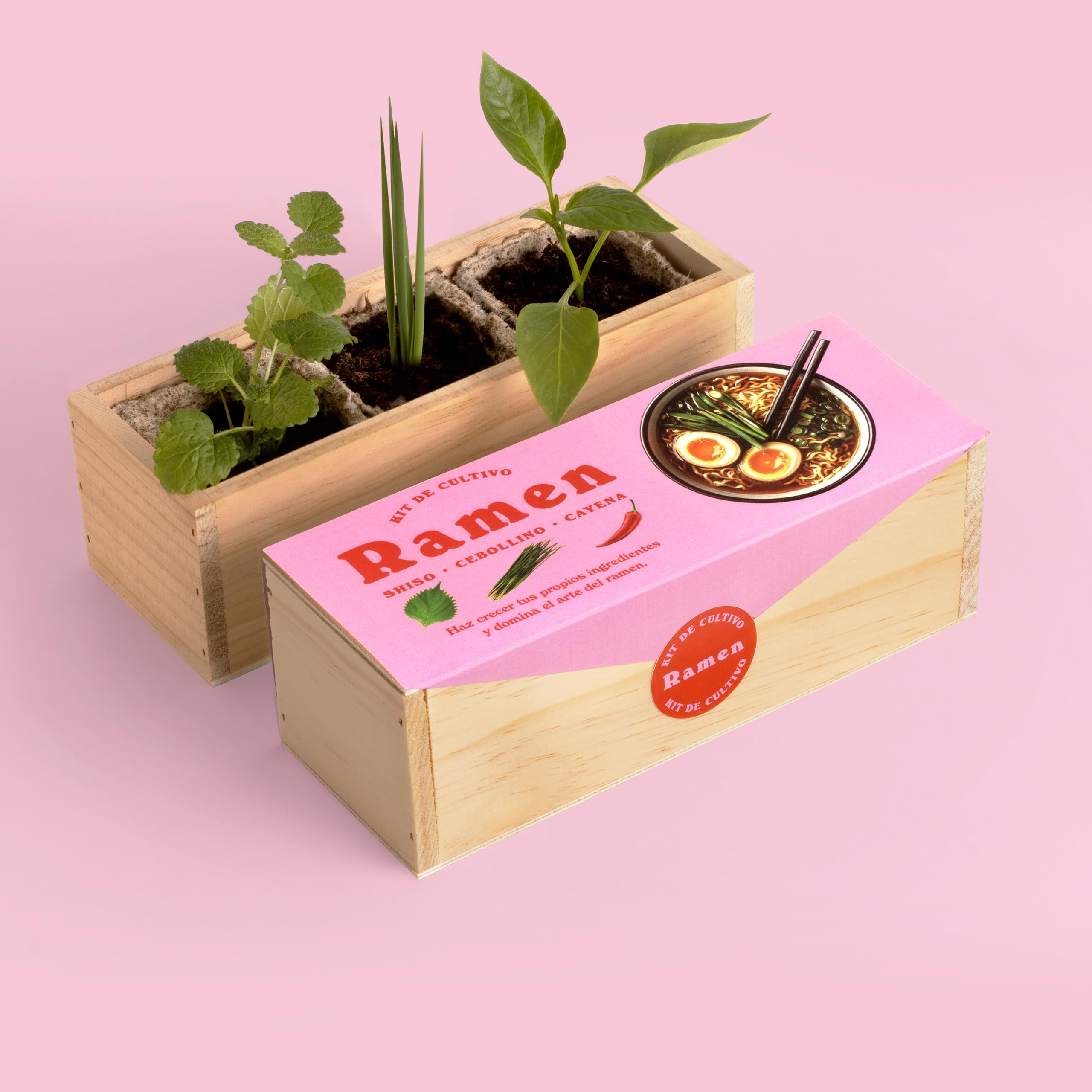 Kit Cultivo Ramen en Casa – Shiso, Cebollino y Guindilla – Kit Autocultivo para Cocina Asiática – Regalo Original para Foodies y Amantes del Ramen – Fácil de Cultivar