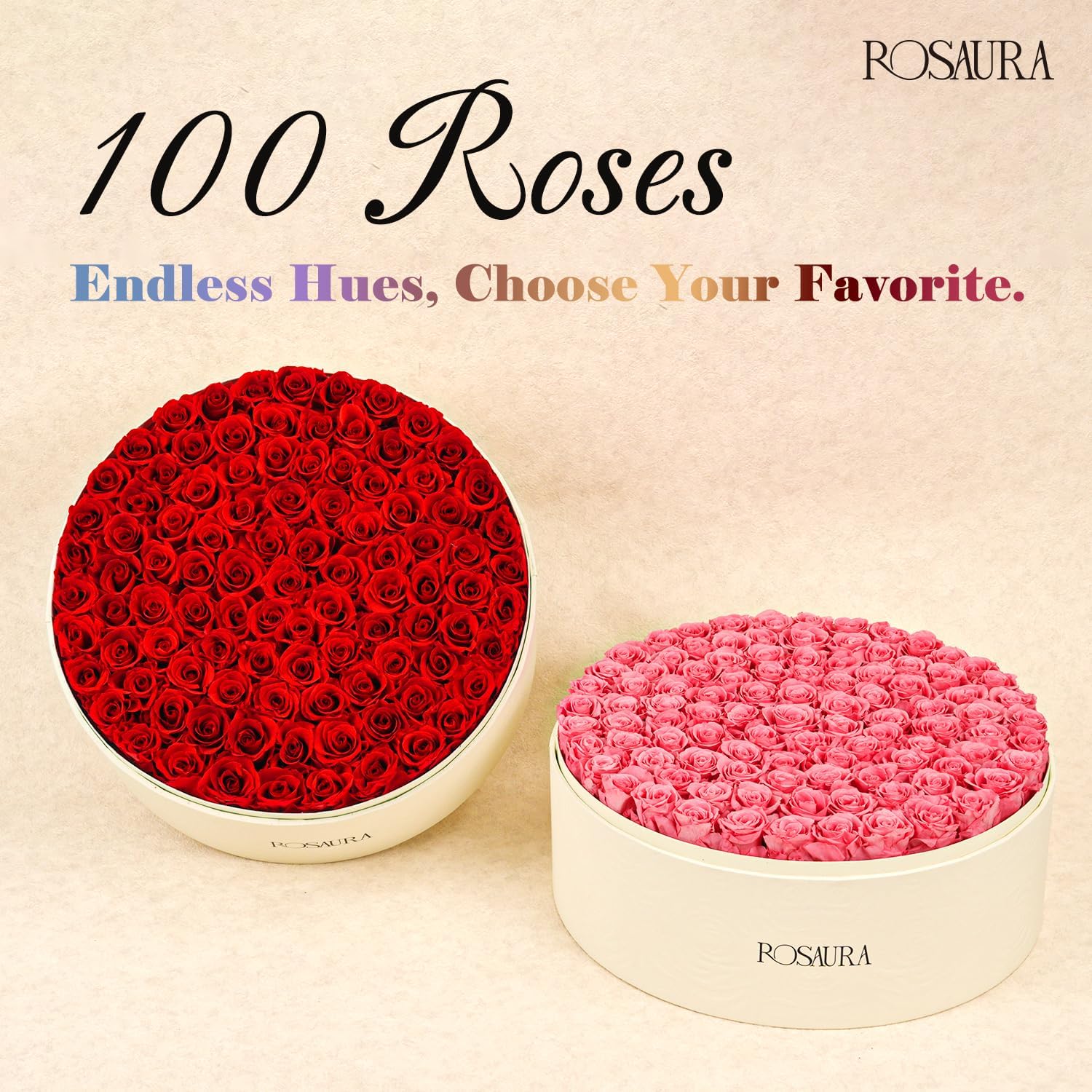 Rosaura Round Preserved Roses Gift Box (Pink, 100 Roses)