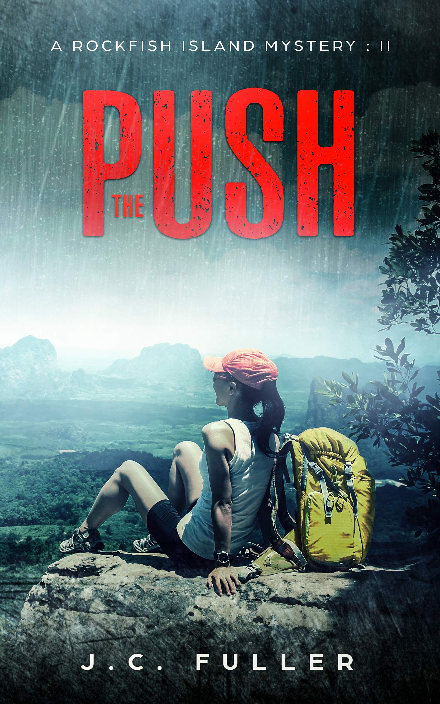 The Push: A Rockfish Island Mystery:II