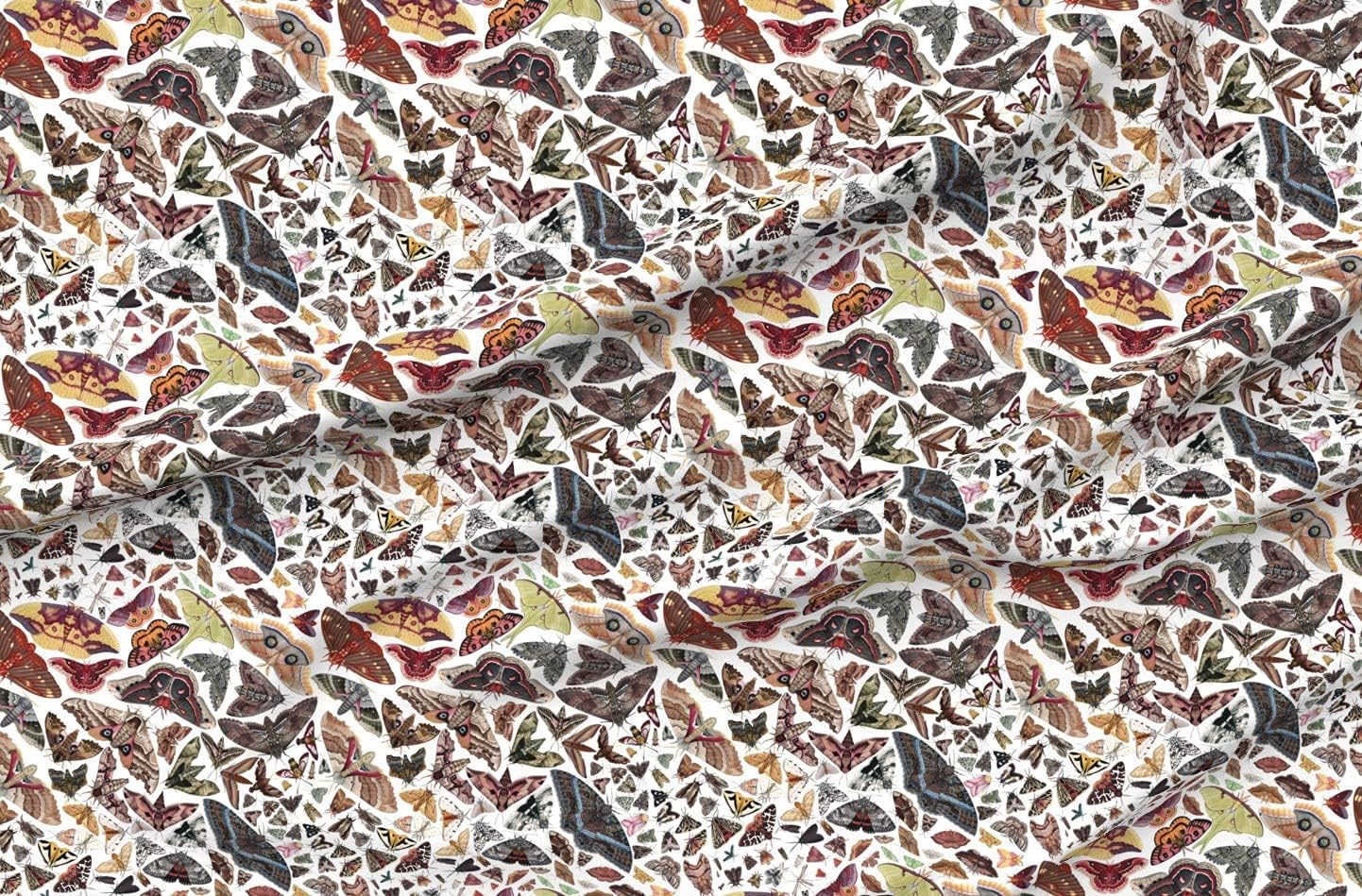 Spoonflower Fabric - Moths North America Moth Butterfly Bug Insect Science Entomology Printed on Organic Cotton Sateen Fabric by The Yard - Sewing Quilting Apparel Home Decor