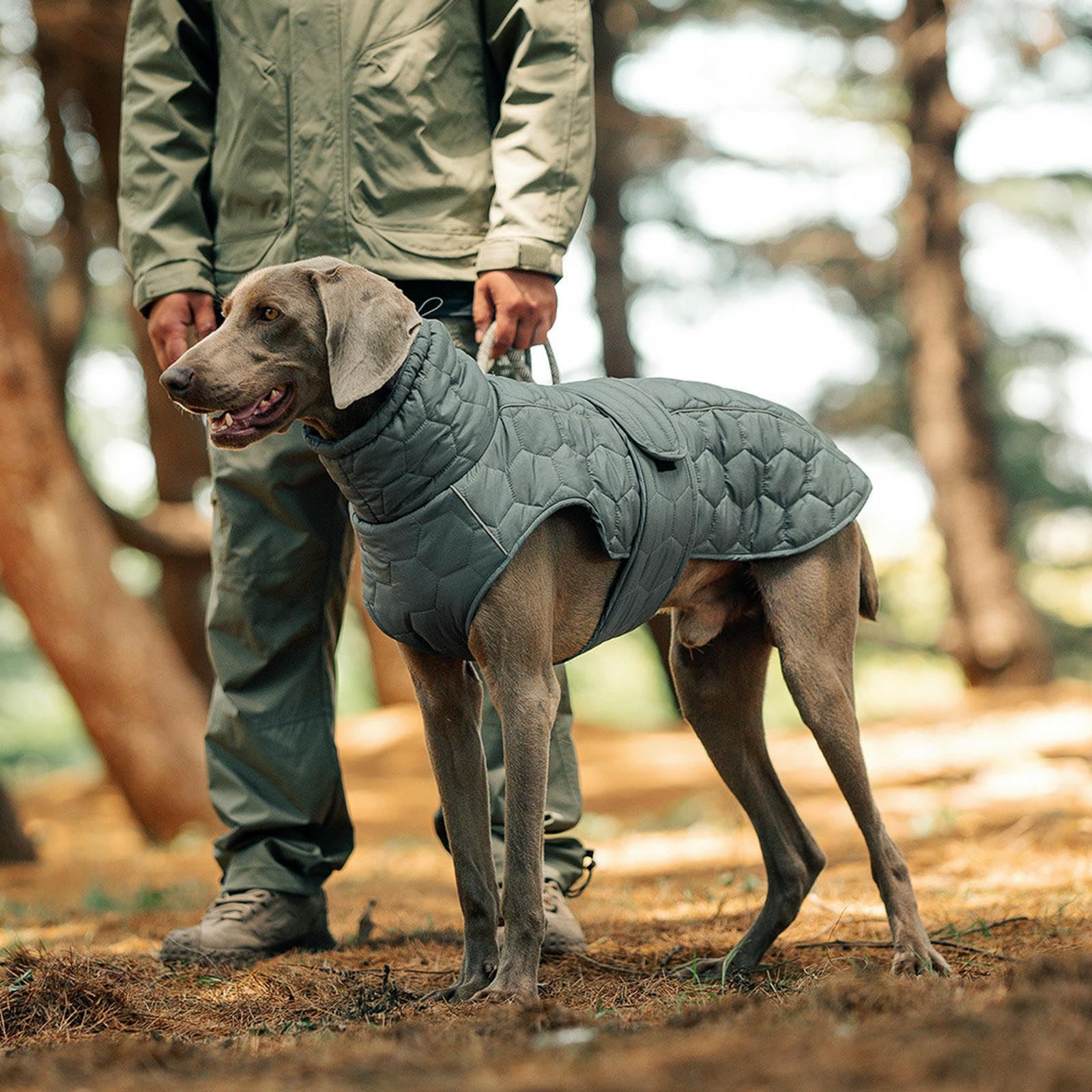 Chaleco De Abrigo para Perros De Invierno, Chaqueta De Cuello De Tortuga para Perros Grandes con Tiras Reflectantes Y Ropa De Nieve De Mascotas Forrada Y Lellada para Al Aire Libre FríO