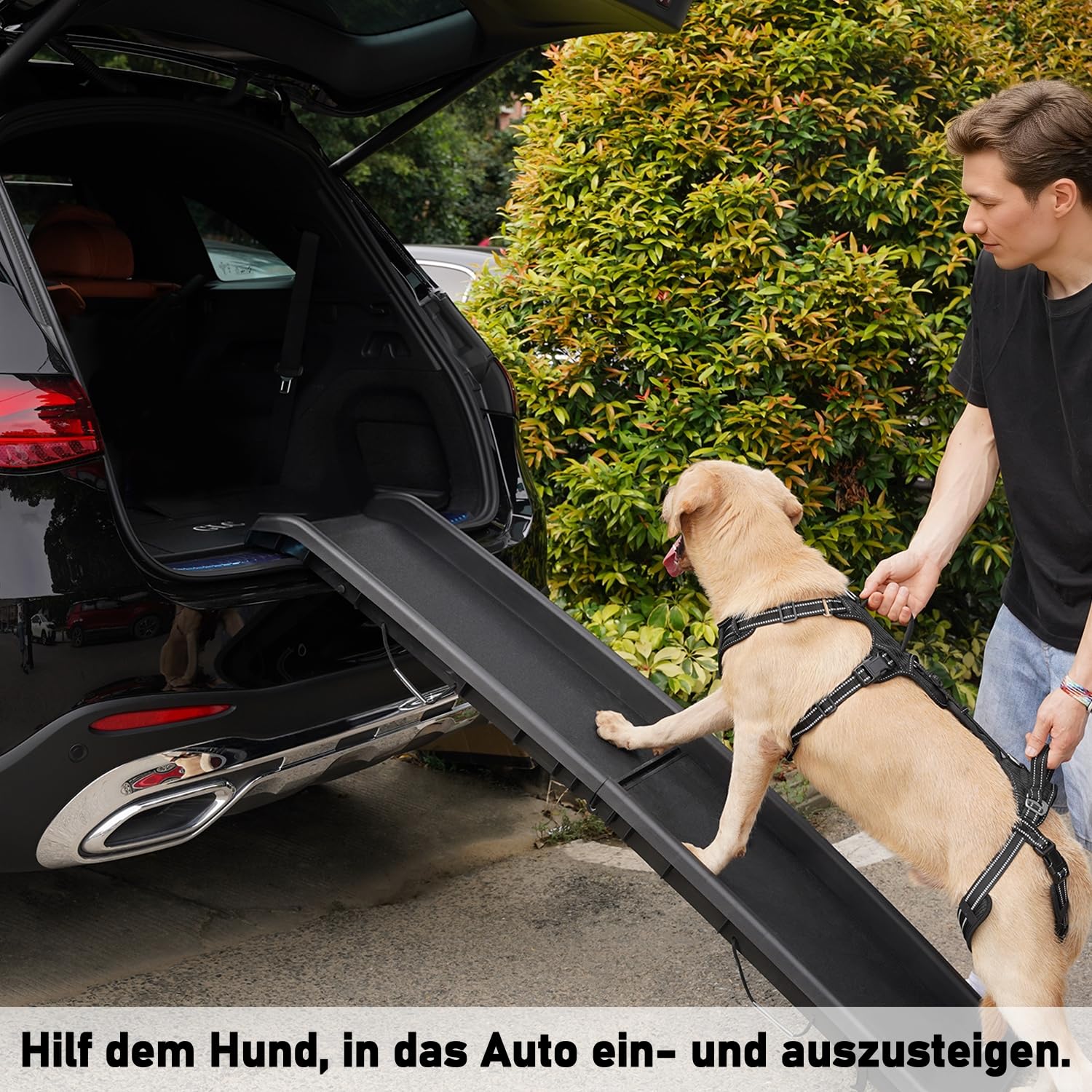 COODEO Tragehilfe Hund Hinterbeine, Hunde Hebegeschirr mit Schultergurt, Hundelift Gehhilfe für alte Hunde, Reha-Geschirr bei Arthritis, Gelenkverletzung, OP & Treppenhilfe (Schwarz, M)