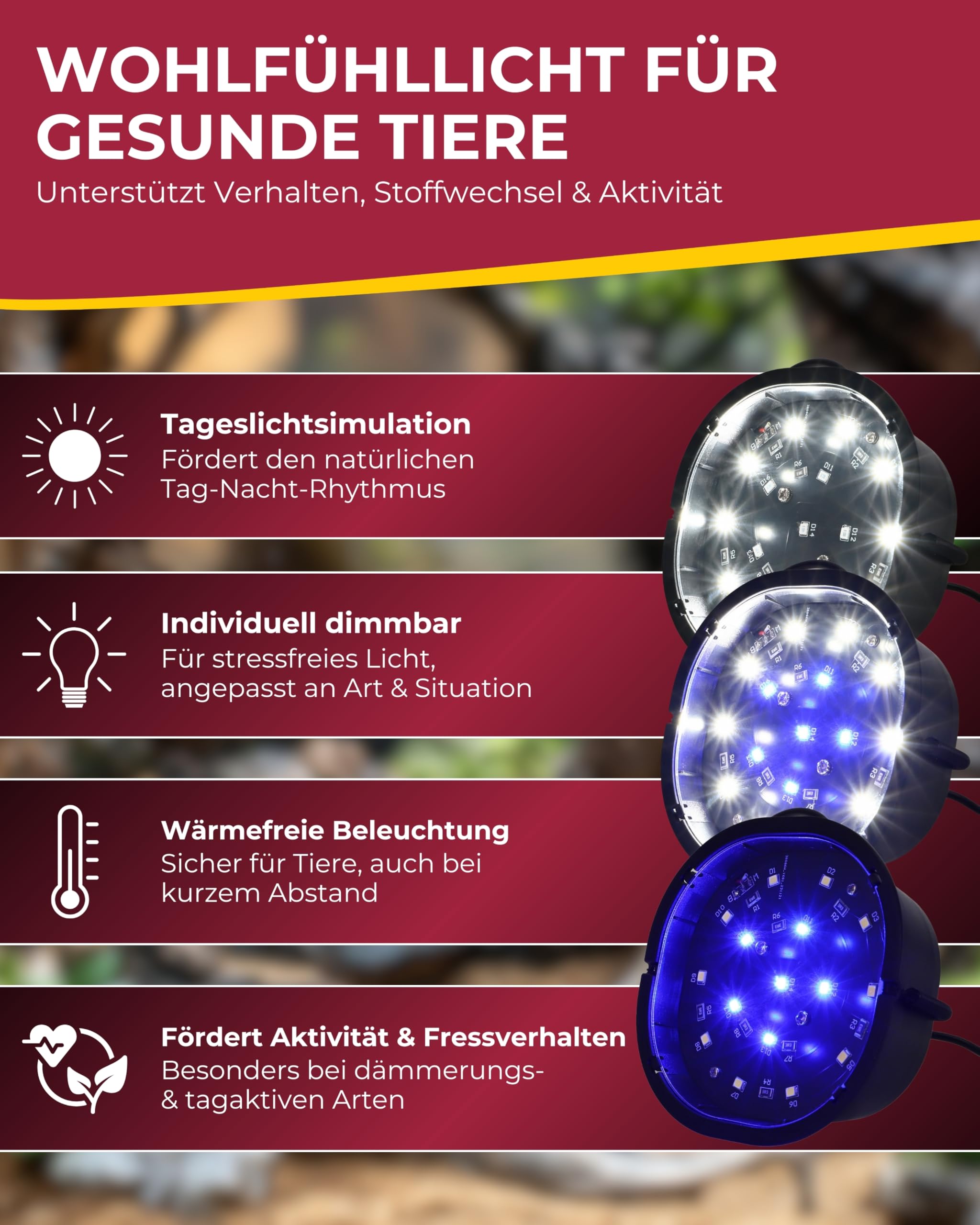 Hobby Terraristik Terra Fix & Easy Nano LED I dimmbare LED-Beleuchtung für Terrarien I Terrarium Lampe mit Einstellbarer Farbtemperatur I Terrarienbeleuchtung für Reptilien, Amphibien und Pflanzen