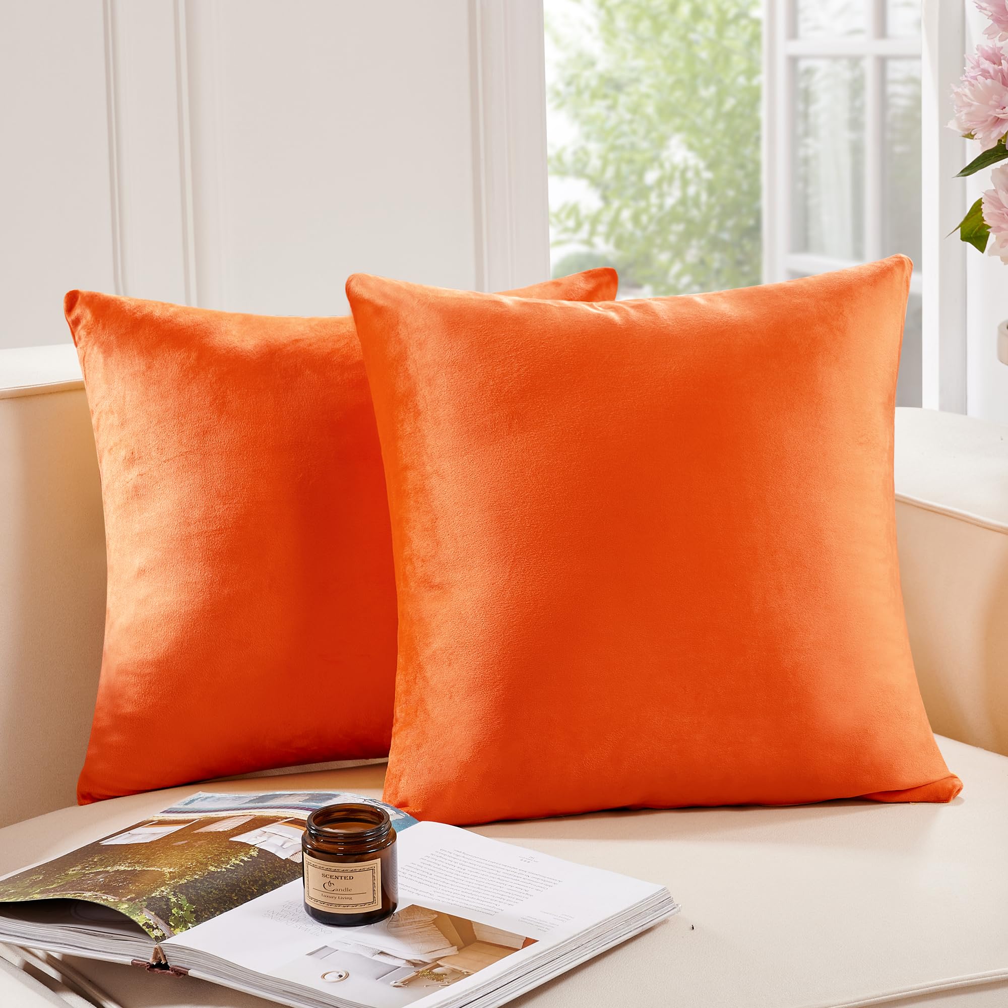 Deconovo Velvet Throw Pillow Covers with Invisible Zipper, Decorative Soft Square Cushion Cases for Couch Sofa Living Room Bedroom Outdoor, Set of 2,