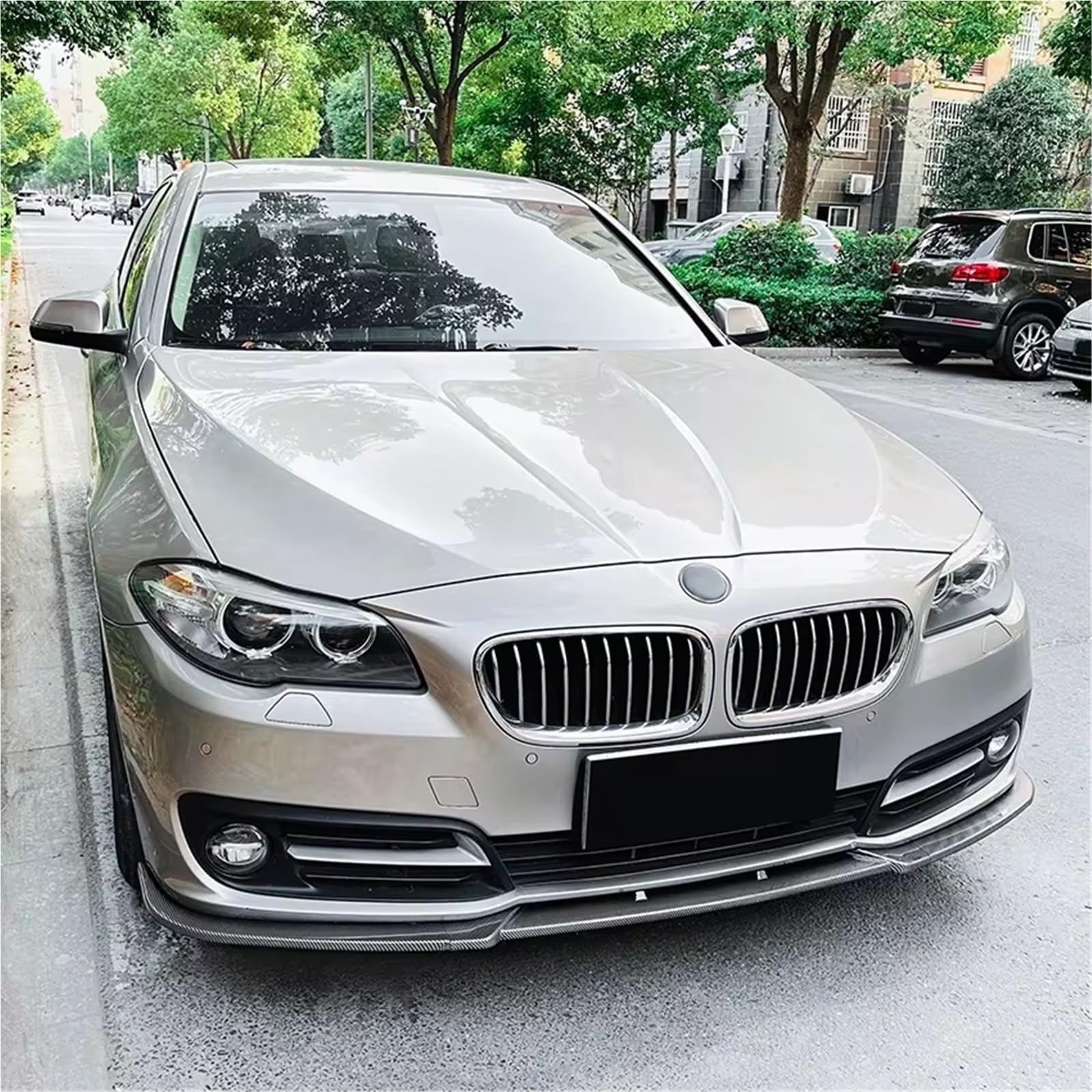 Auto Spoiler Per BMW Serie 5 F10 F11 LCI Edizione Di Lusso