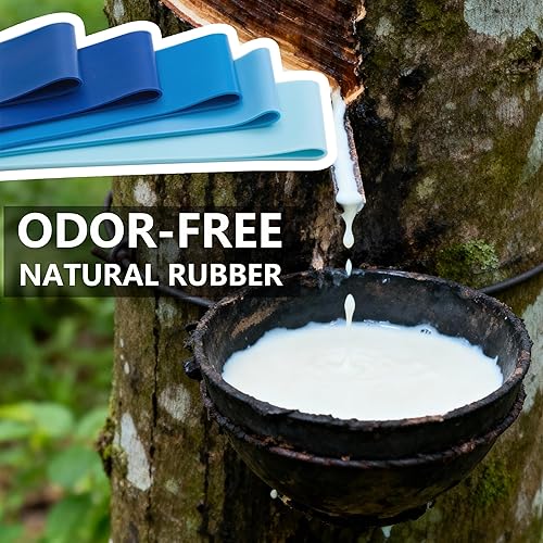 Miniatura 5 de Bandas de resistencia para entrenamiento, bandas de ejercicio en bucle para fitness en interiores y exteriores, 5 piezas de entrenamiento de fuerza