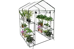 50% Larger Walk-In Greenhouse: Spacious Garden Sanctuary for Thriving Plants