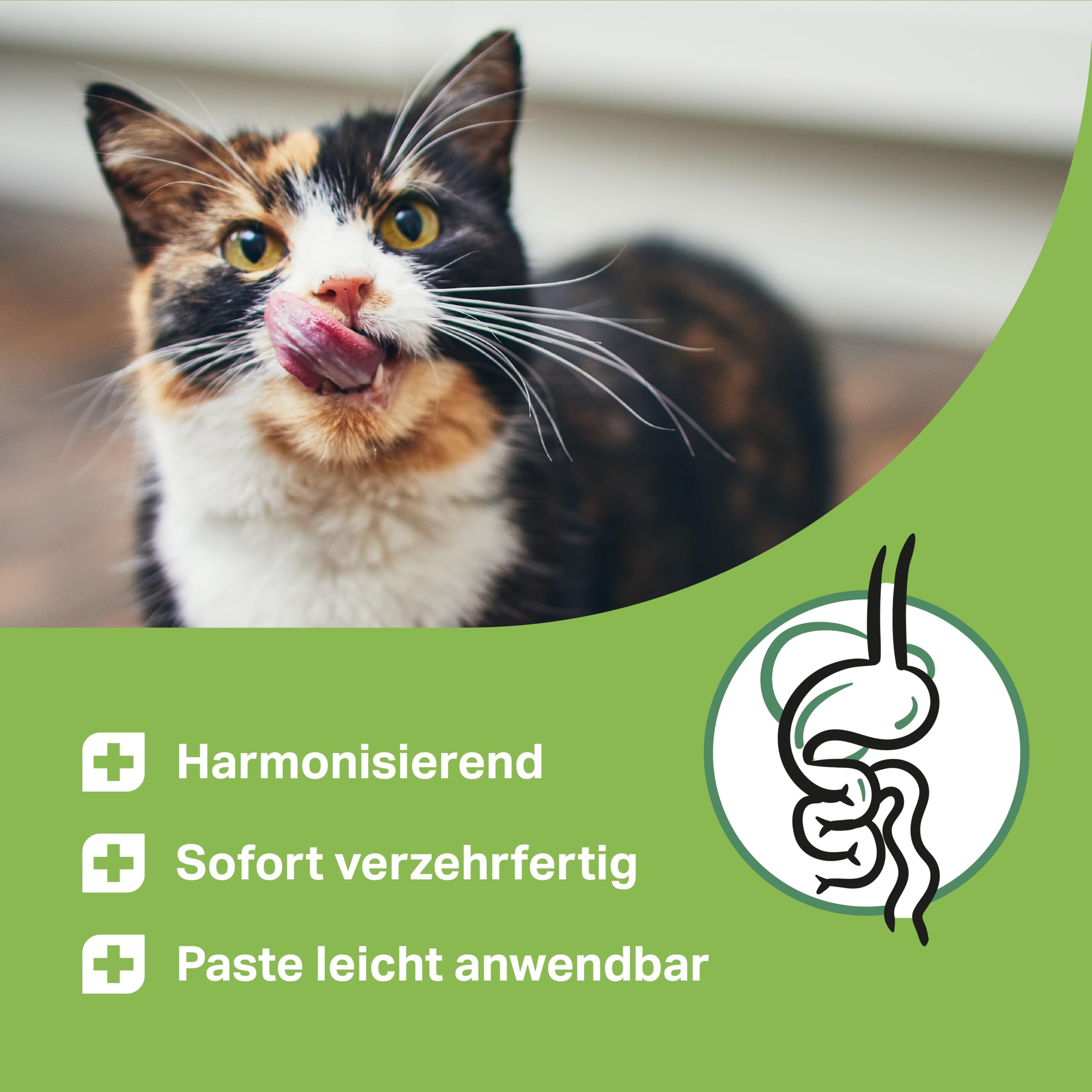 Pâte d'écorce d'orme premium – 200 g – pour chats – pour brûlures d'estomac, diarrhée et vomissements pour assainir l'intestin – Prêt à consommer