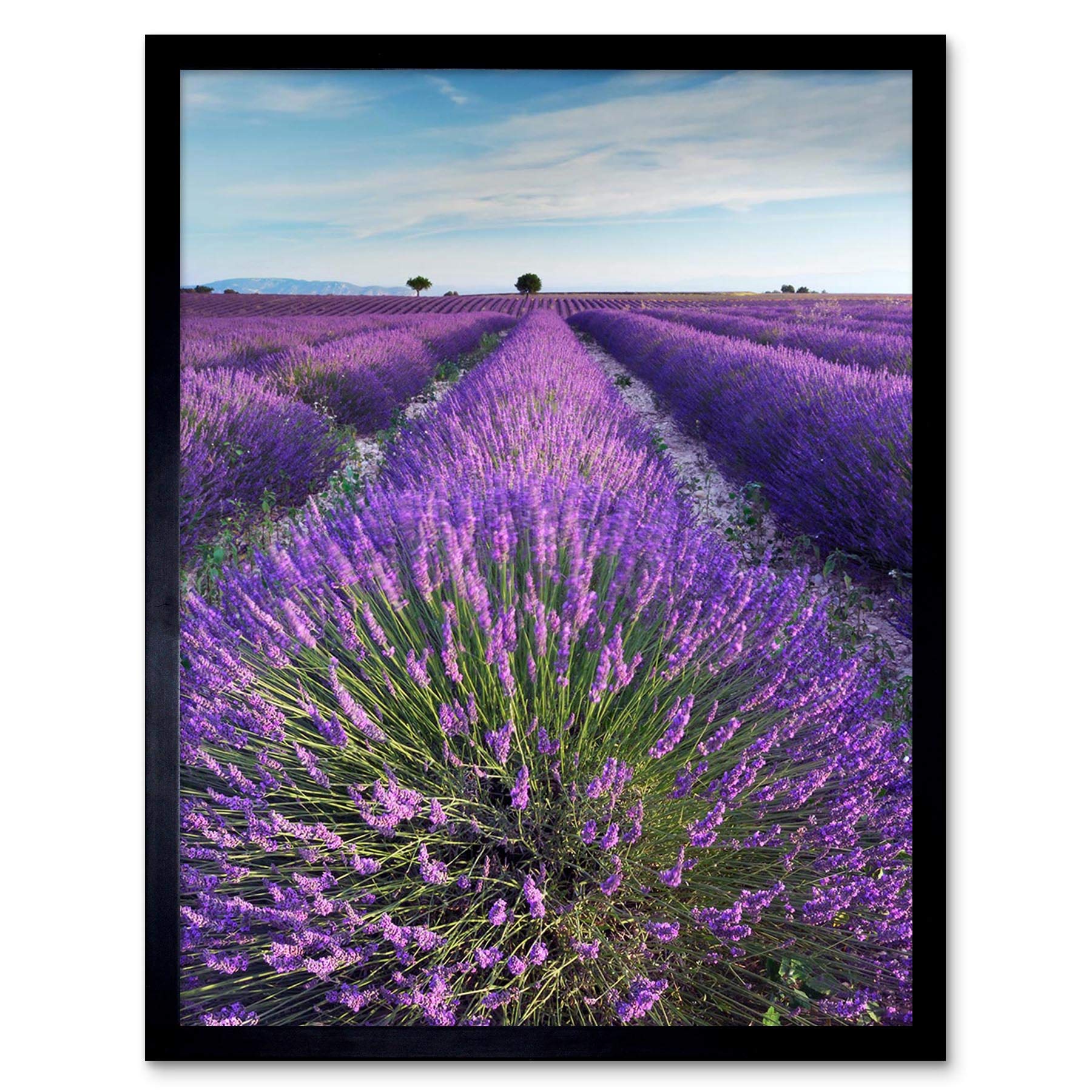 Artery8 Lavender Field Provence France Framed Art Print - Purple - 12x16"