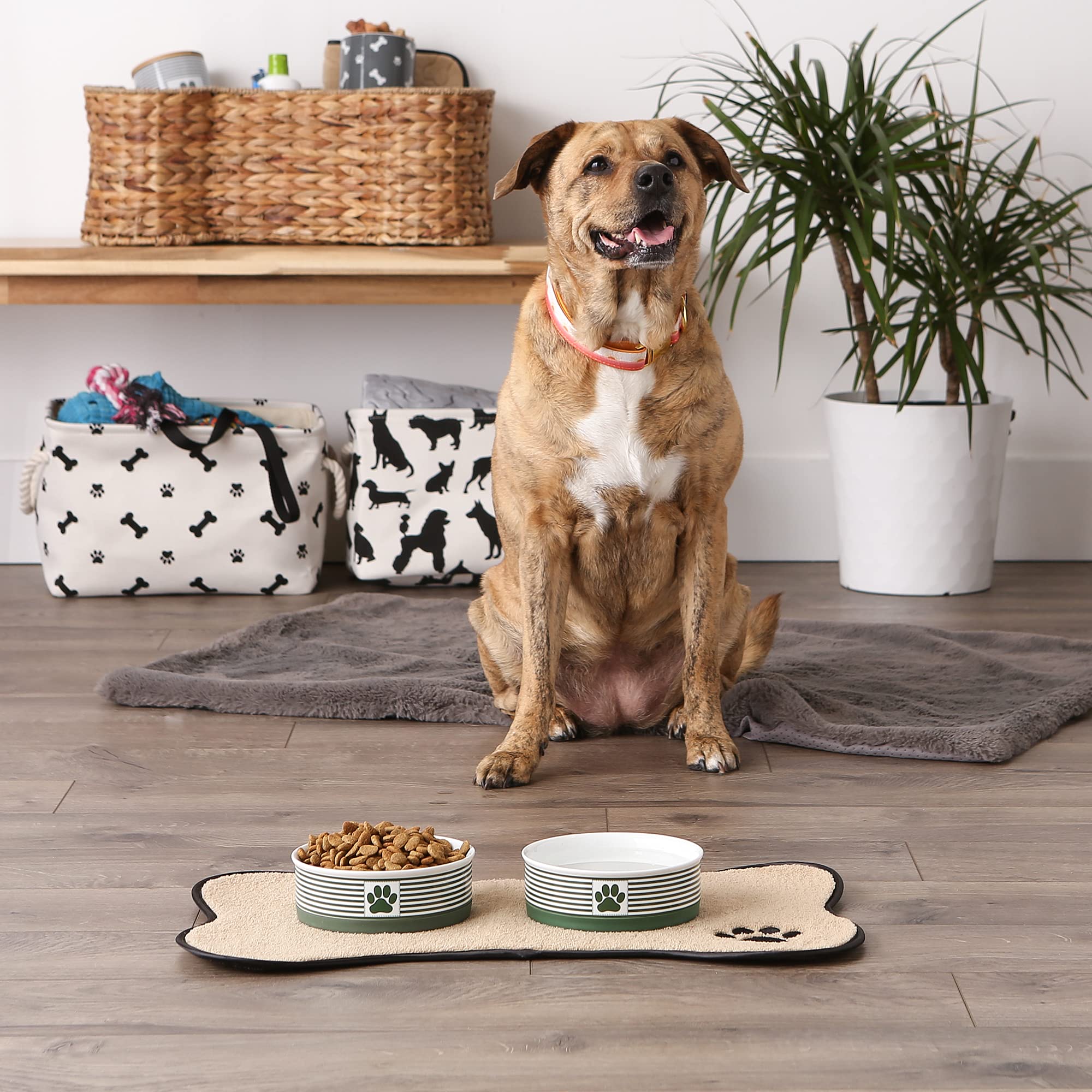 Bone Dry Paw & Patch Ceramic Pet Collection, Medium Set, 6x2, Hunter Green, 2 Piece (5742)