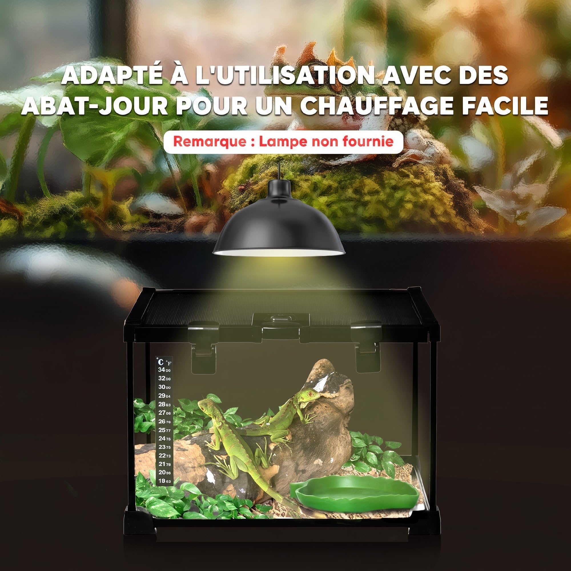 PawHut Szklane terrarium dla gadów z termometrem, małe, 30 x 30 x 20cm