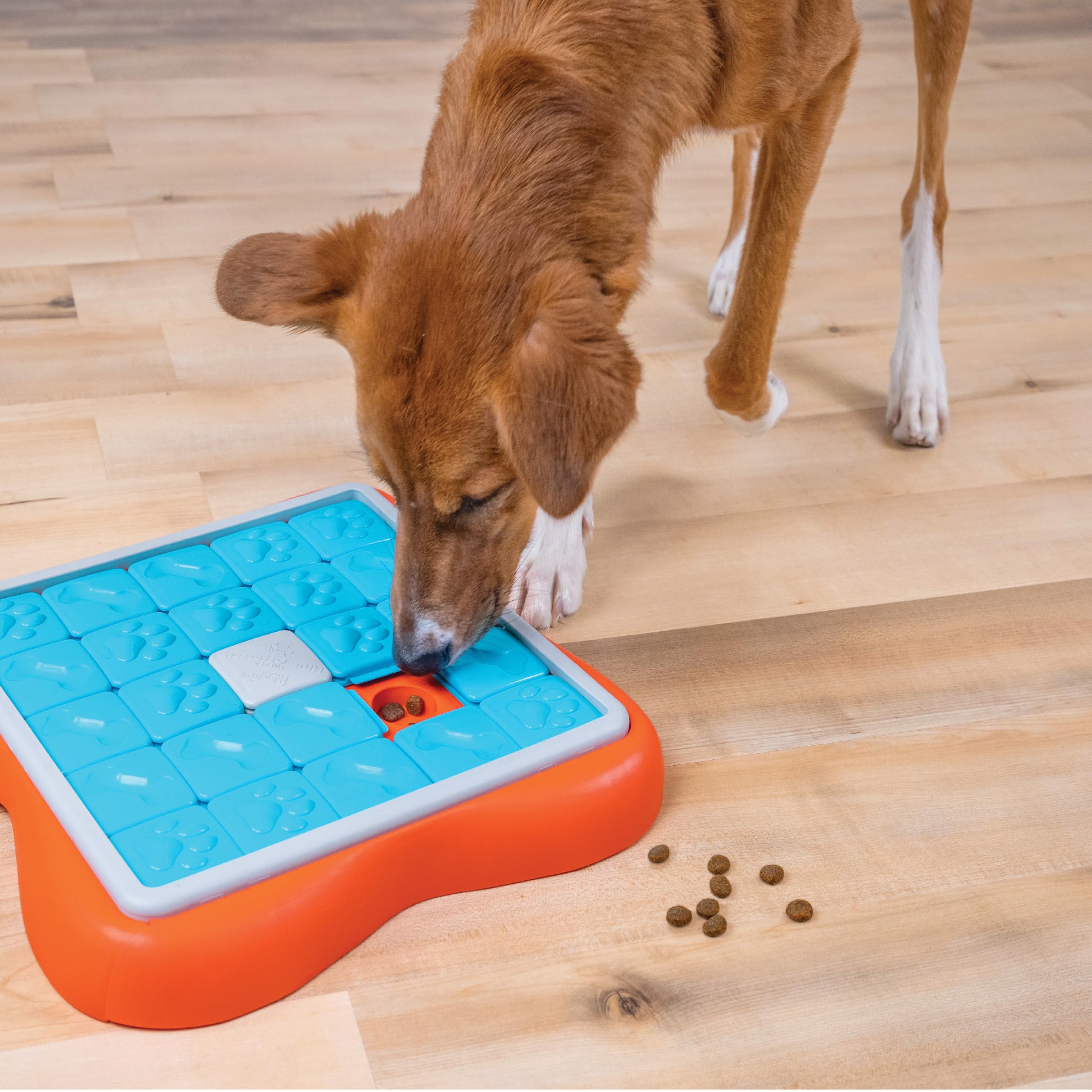 Outward Hound Nina Ottosson Dog Worker Interactive Puzzle Toy, Treat Dispensing Brain & Exercise Game for Dogs, Level 3 Advanced Mental Stimulation Toy